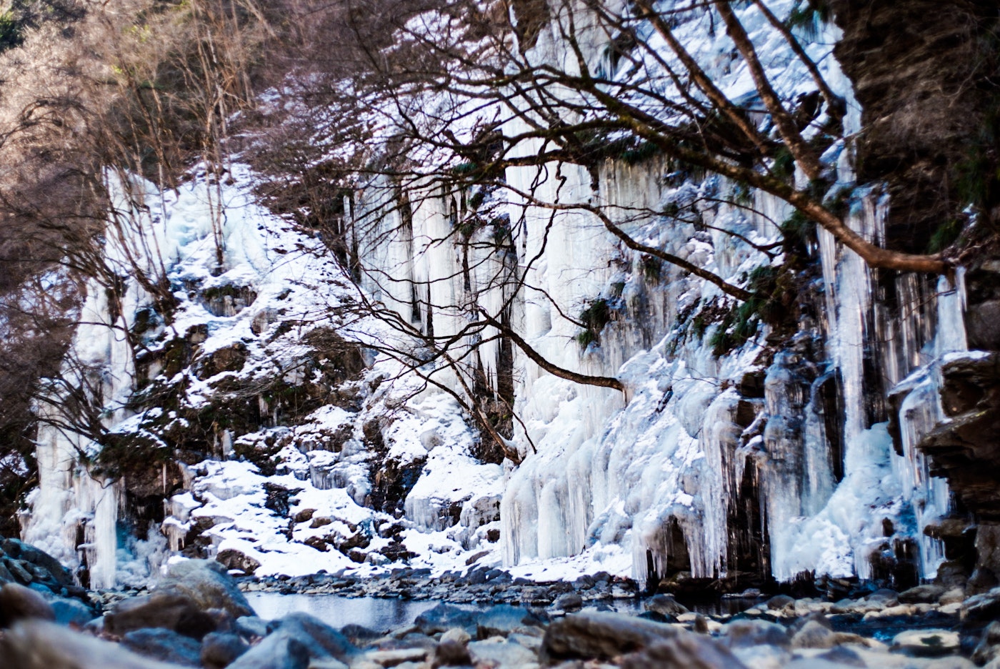 雪中的瀑布與結冰的水流在林間小徑