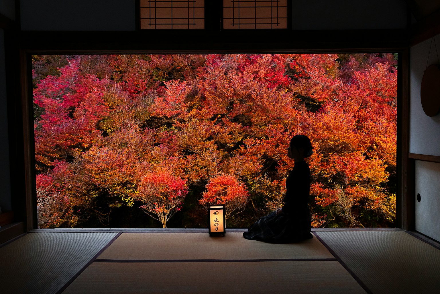 Silhouette of a person sitting quietly with autumn foliage in the background and a traditional Japanese room