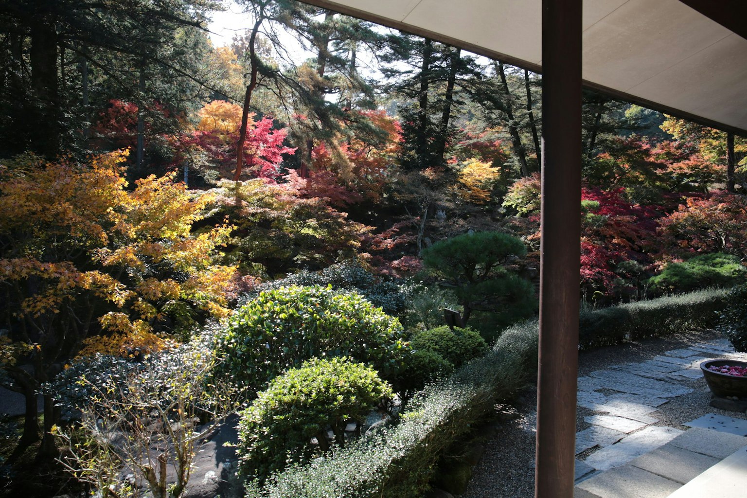 Vue magnifique d'un jardin d'automne avec un feuillage coloré