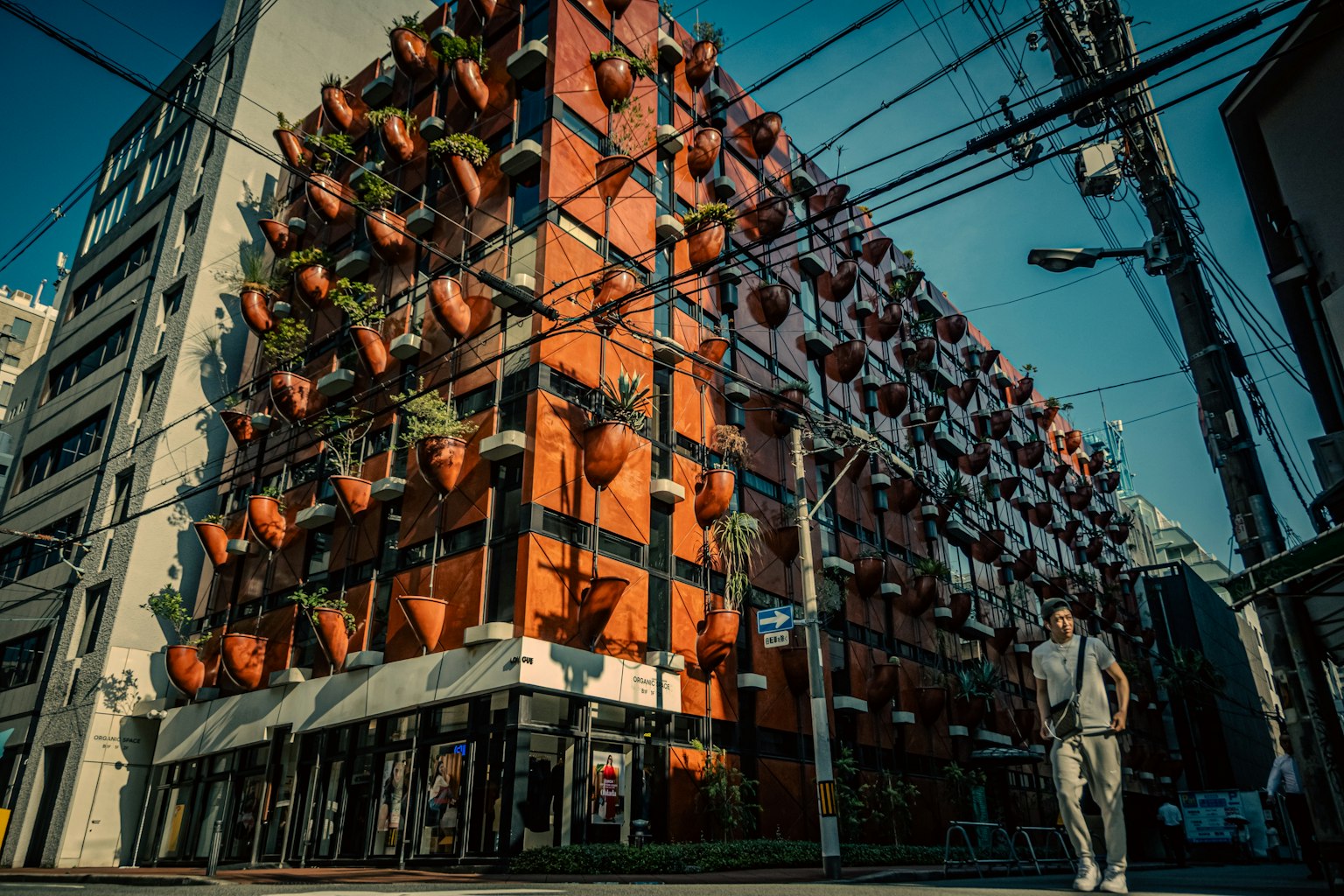 Edificio arancione unico con vasi di fiori attaccati e un passante