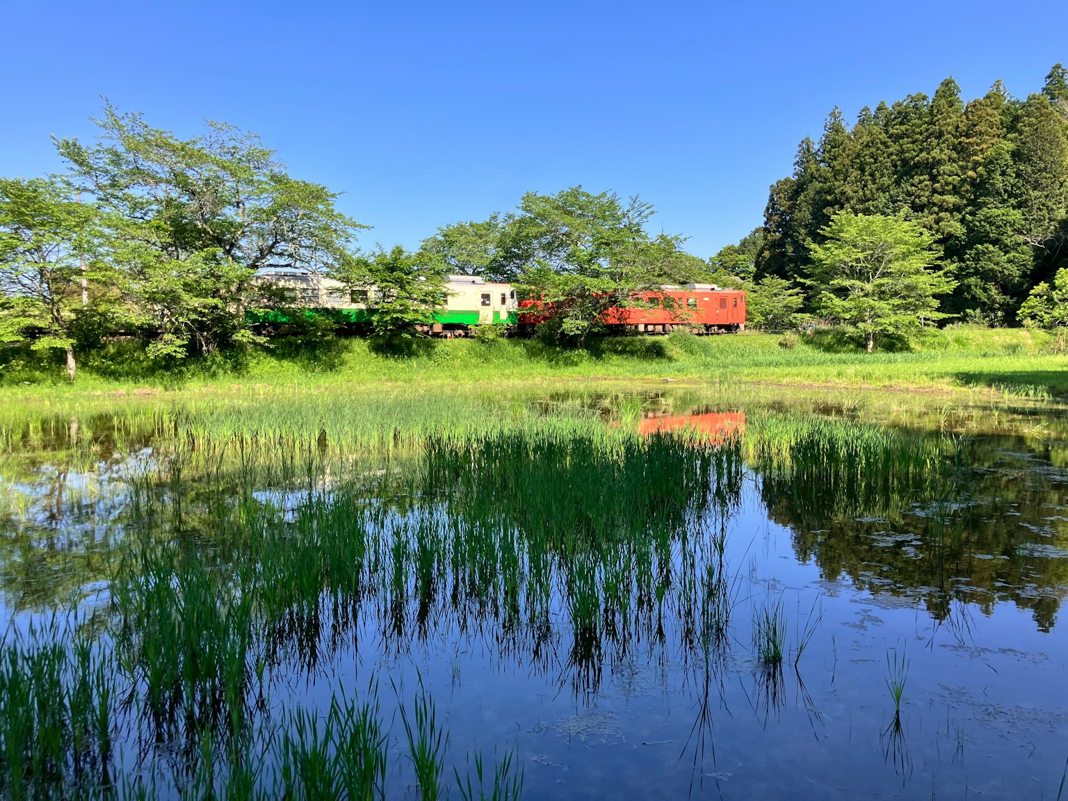 Train arrêté près d'un étang avec une verdure luxuriante sous un ciel bleu