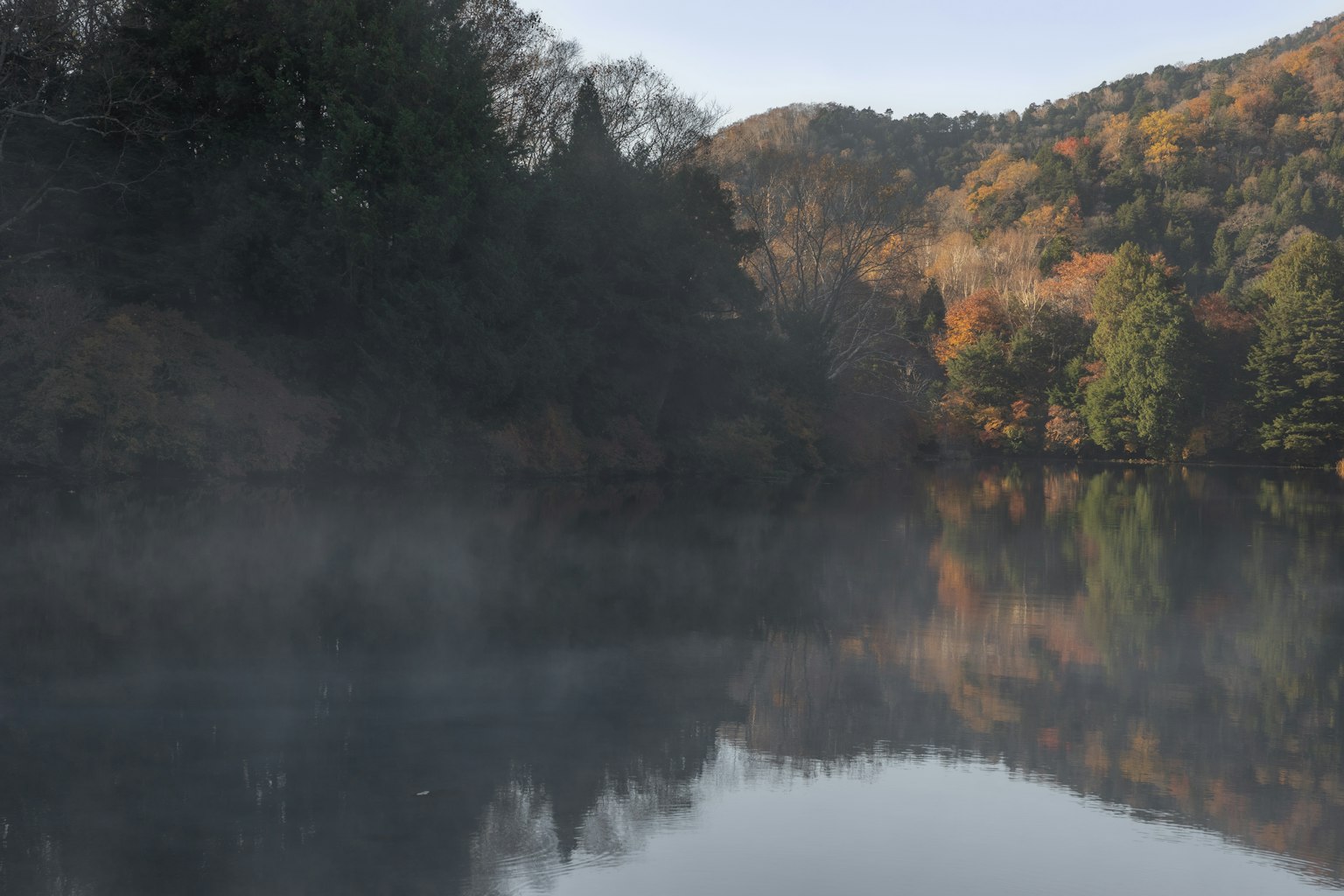Serene landscape of a misty lake reflecting autumn foliage