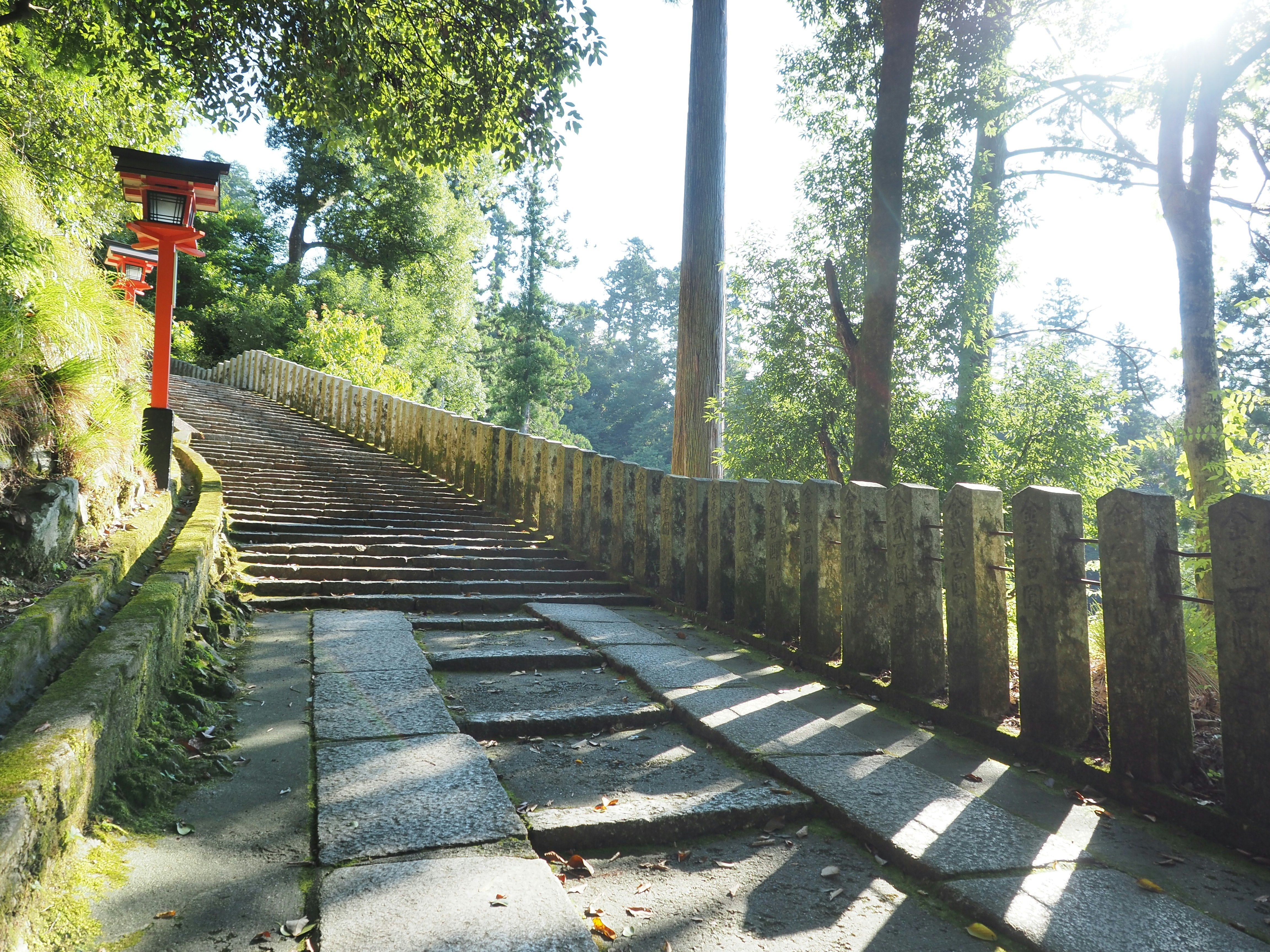 鞍馬寺の参拝道を続く石段と木柵の参道