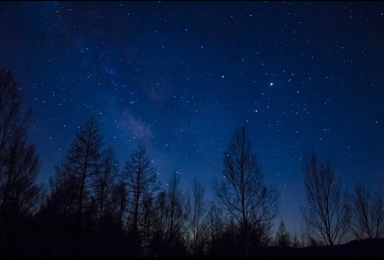 Winter night sky filled with stars over Senjogahara