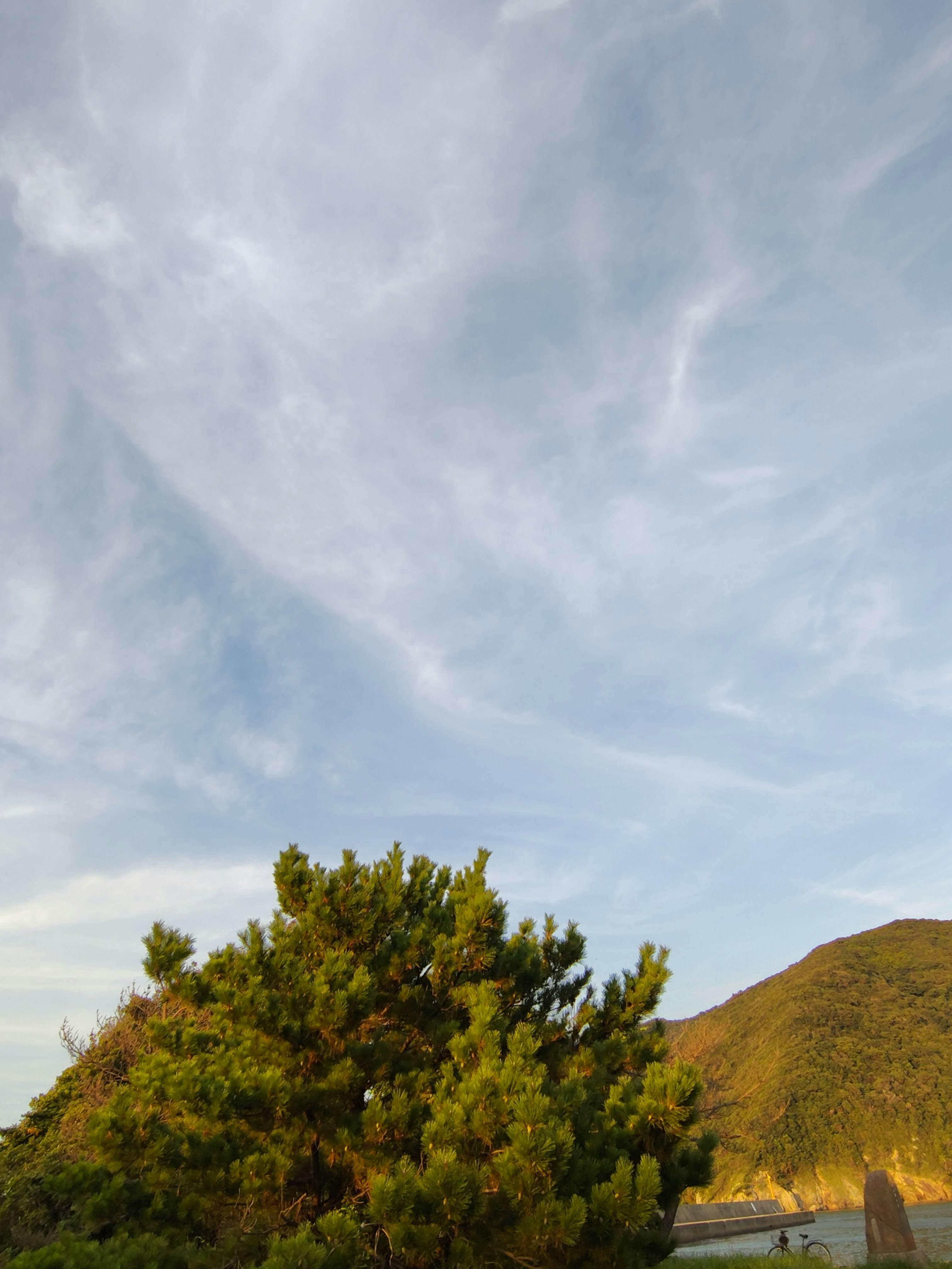 山の斜面と木々のある自然風景