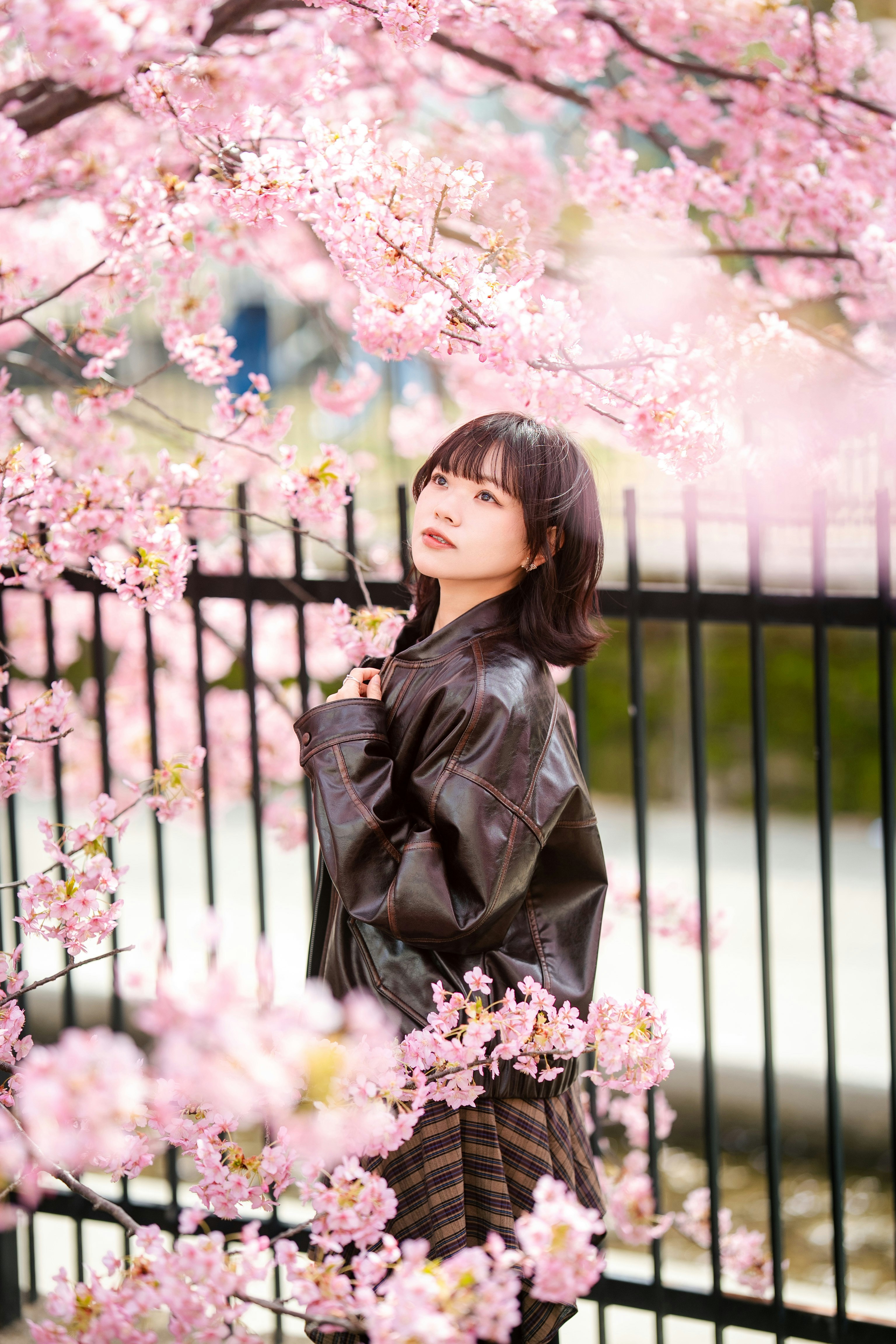桜の花の間でフェンス越しに佇む女性