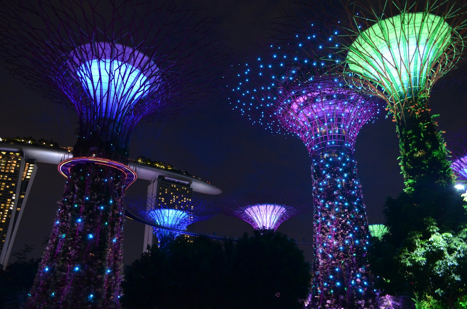 Singapore skyline featuring illuminated Supertrees and modern architecture at night