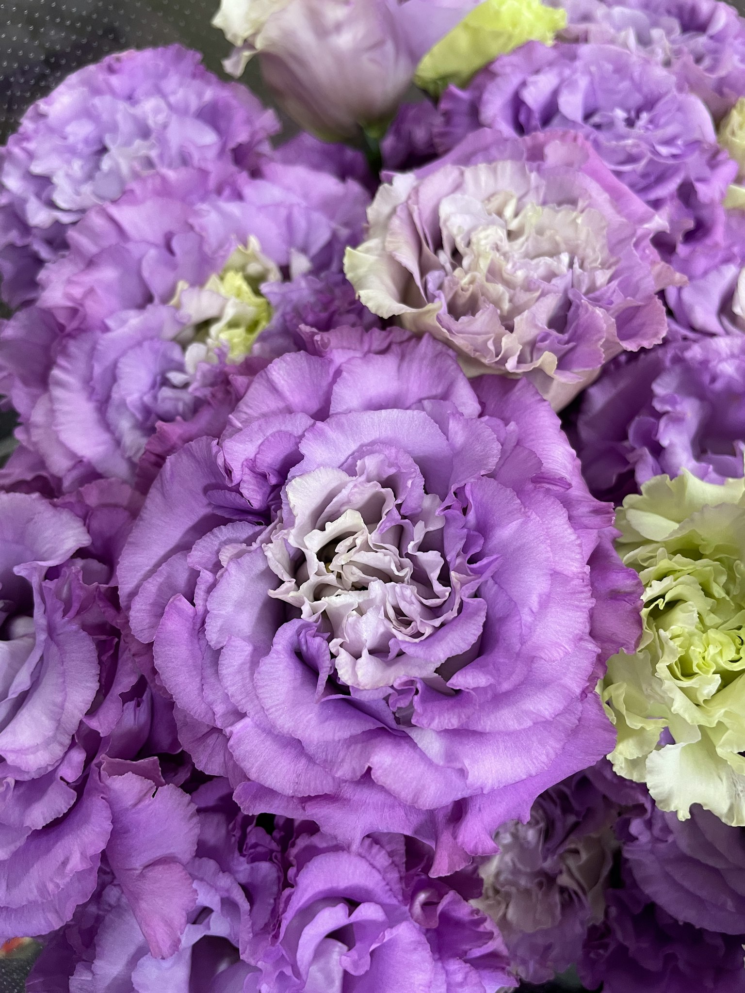 Gros plan d'un bouquet rempli de fleurs violettes