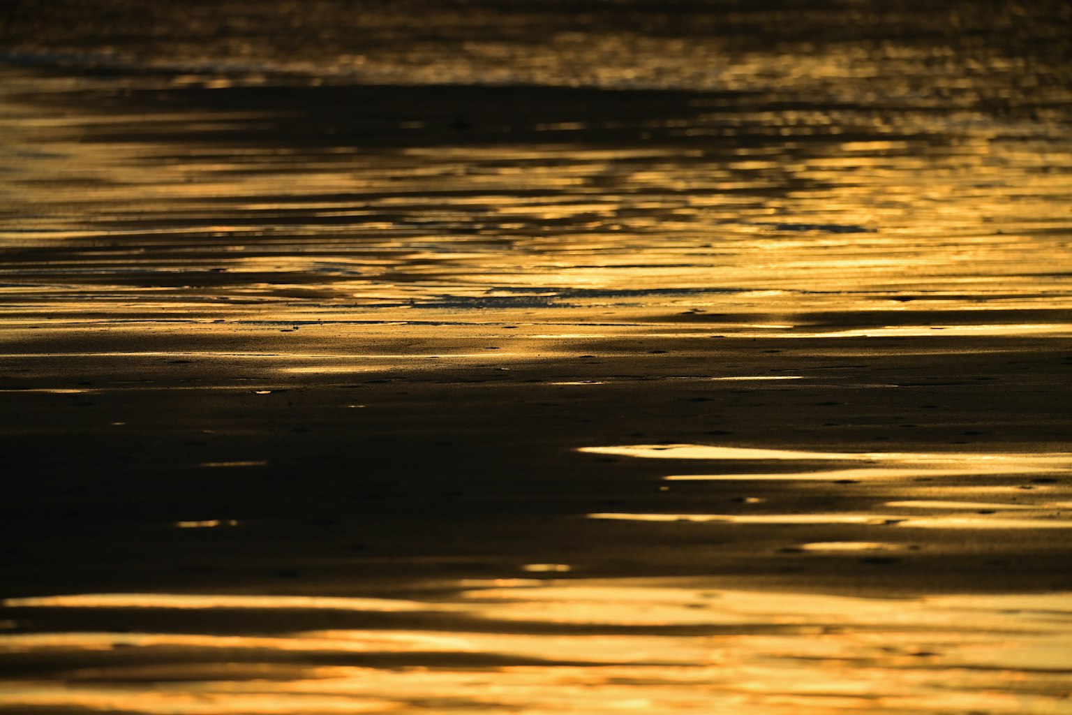 Beautiful reflection of golden water surface