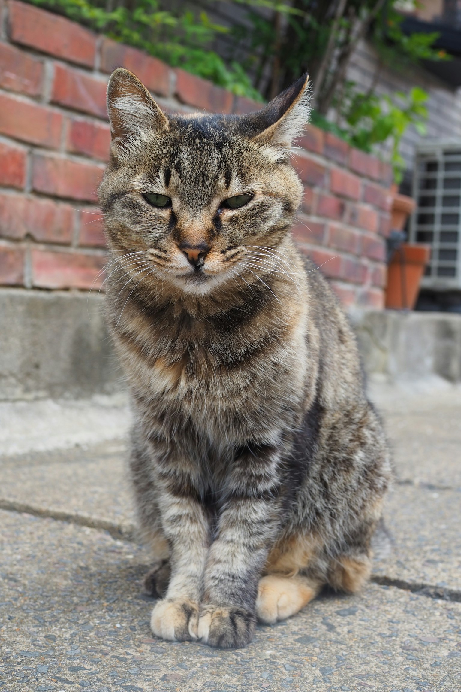 ์ค๋ฌด๋ฌ ํธ์ ๊ฐ์ง ๊ณ ์์ด๊ฐ ๋ฒฝ๋ ๋ฒฝ ์์ ์์์๋ค