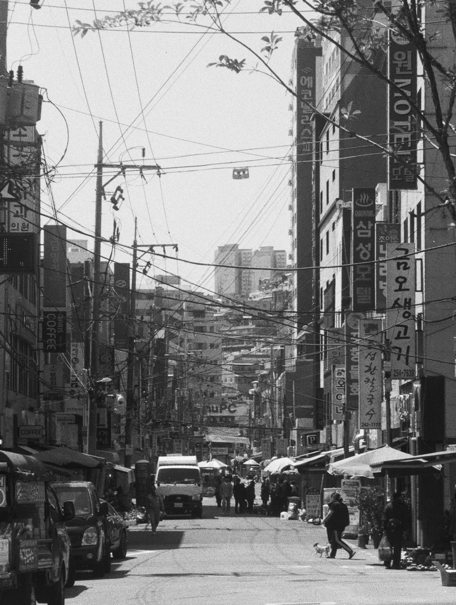 photo-McMcg9jaxIoh4qRhhjJz-image