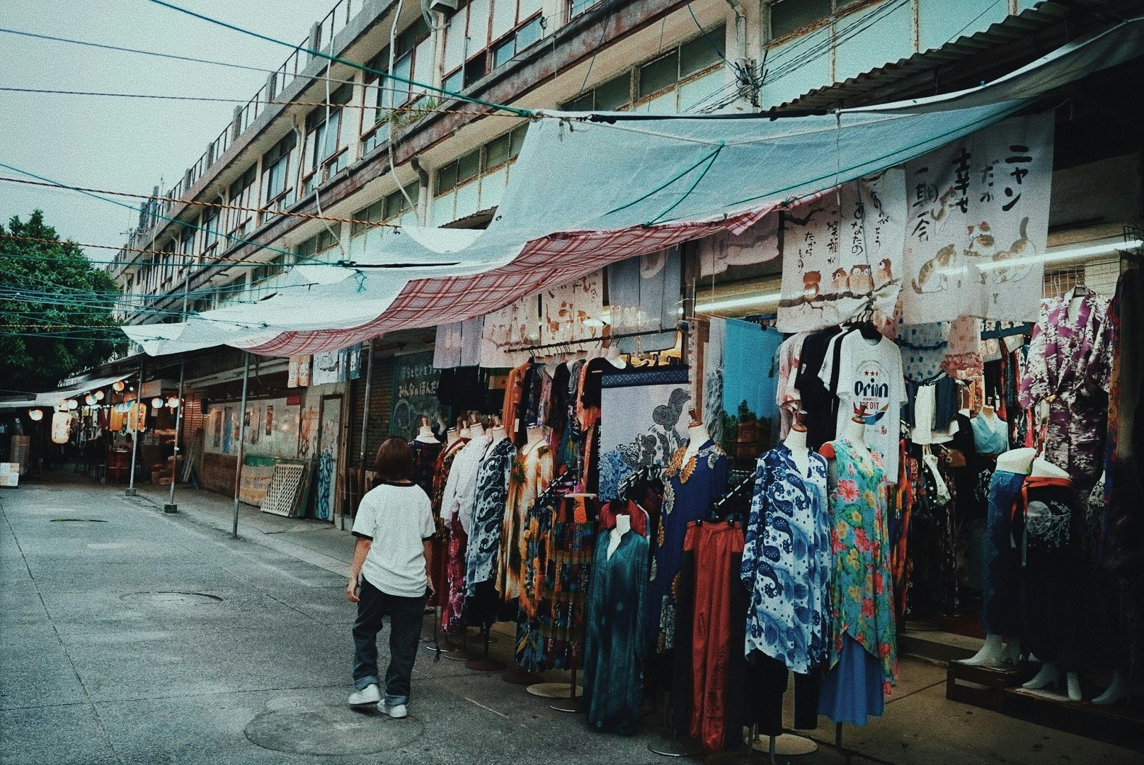 加布河沿岸的水上店鋪一字排開的商街巷弄