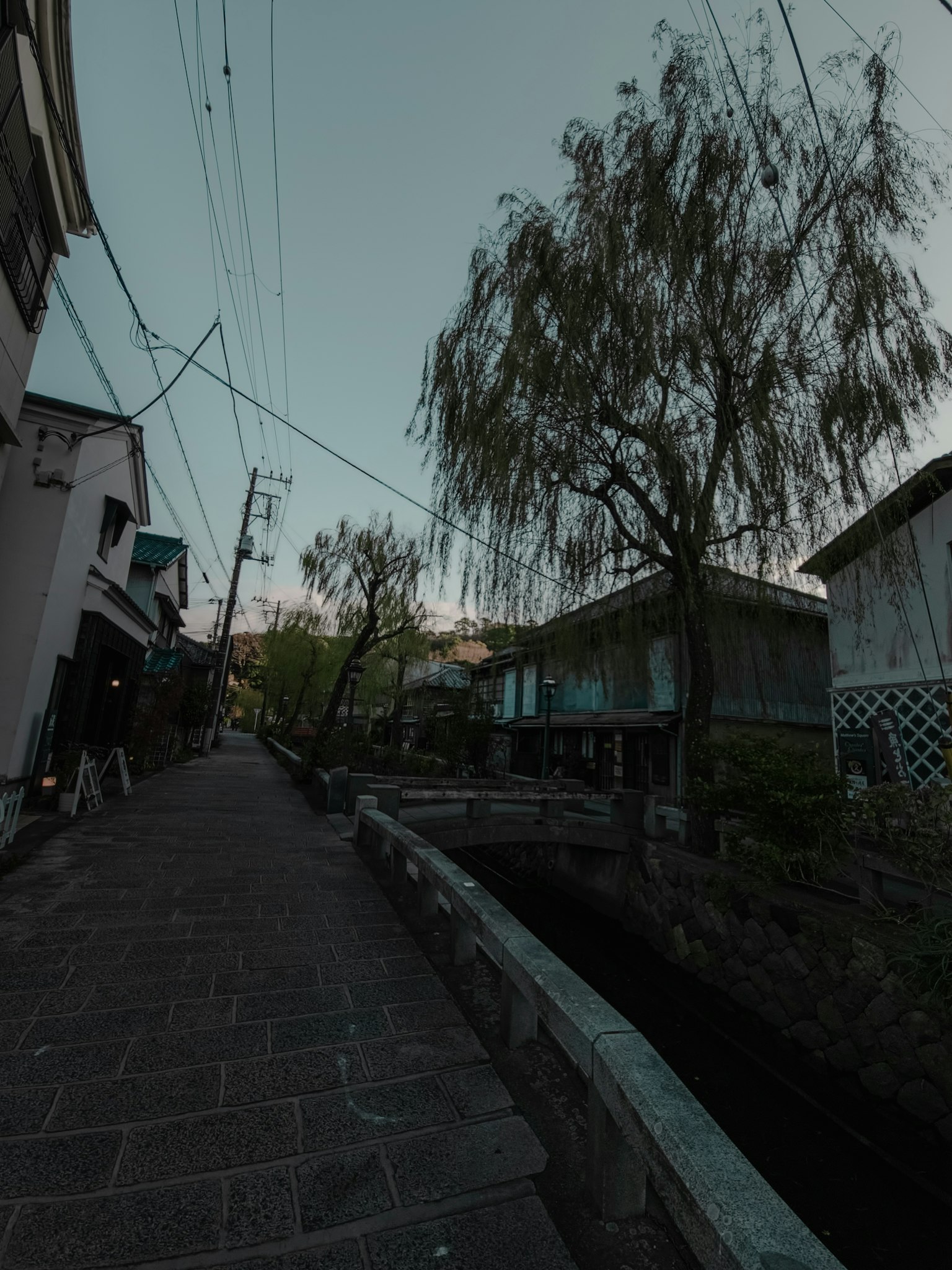 Scenic view of an old street lined with traditional houses and willow trees