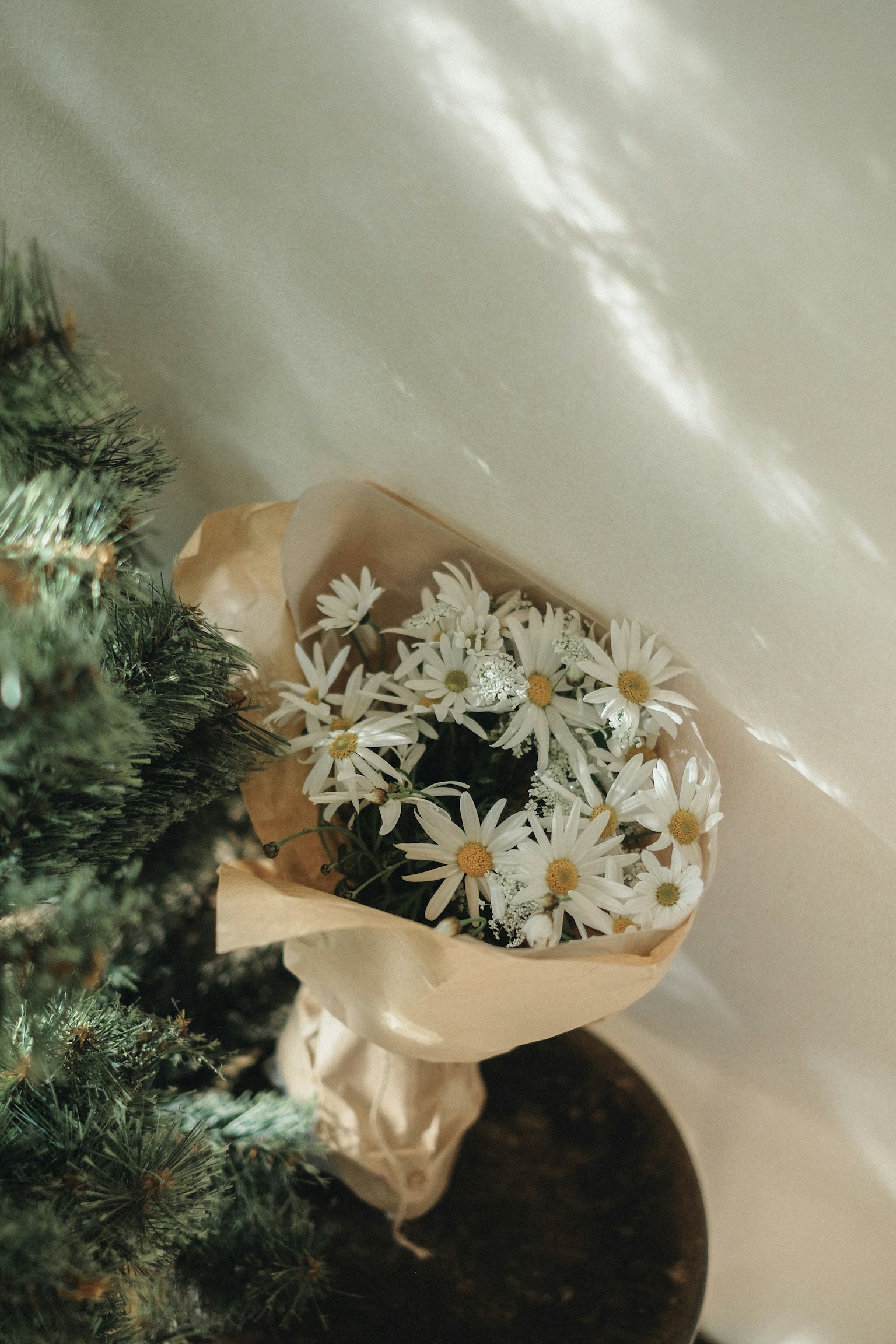 Un bouquet de fleurs blanches enveloppé dans du papier à côté d'une plante verte