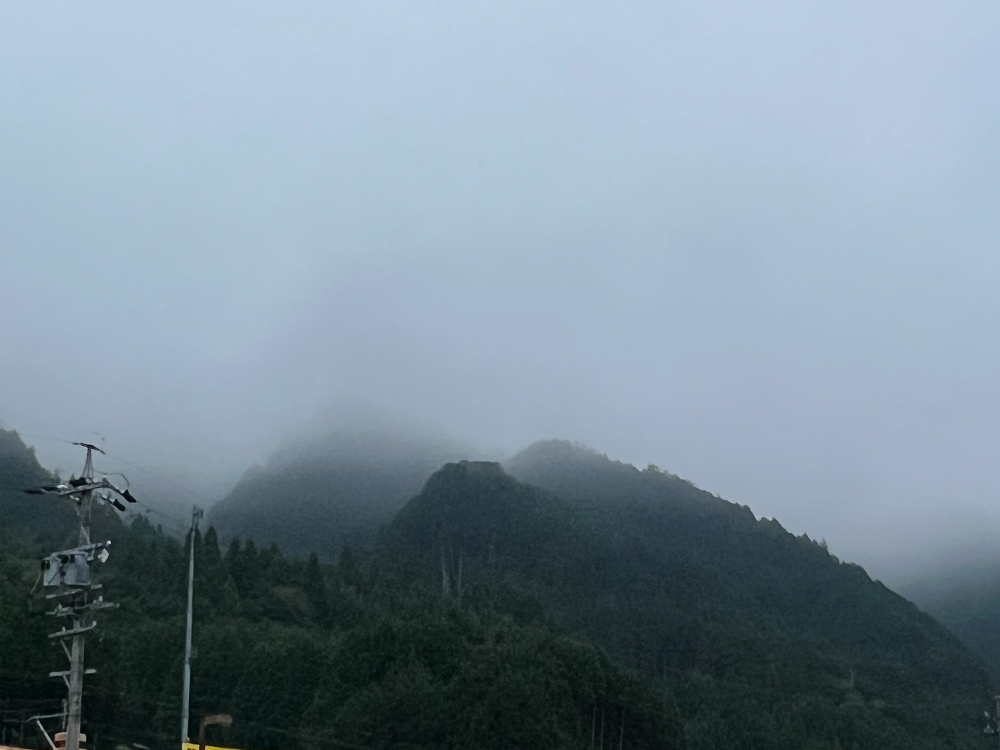 霧のかかった山並みと深い森の斜面