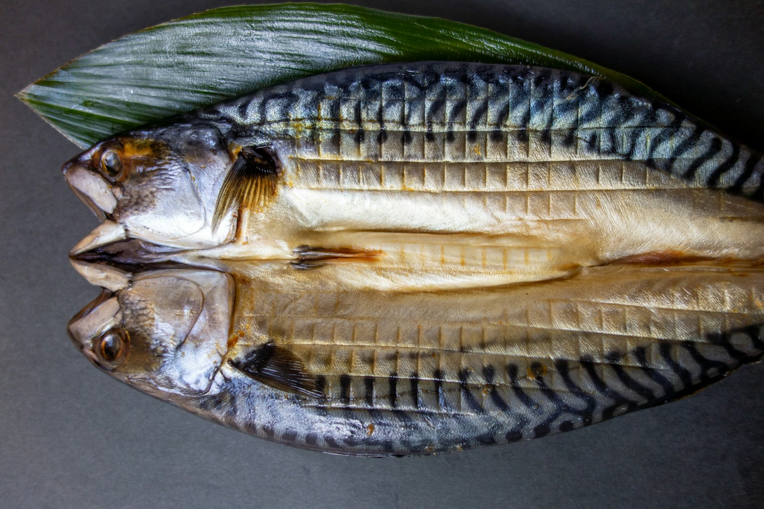 Zwei Makrelen auf einem dunklen Hintergrund mit grünen Blättern präsentiert