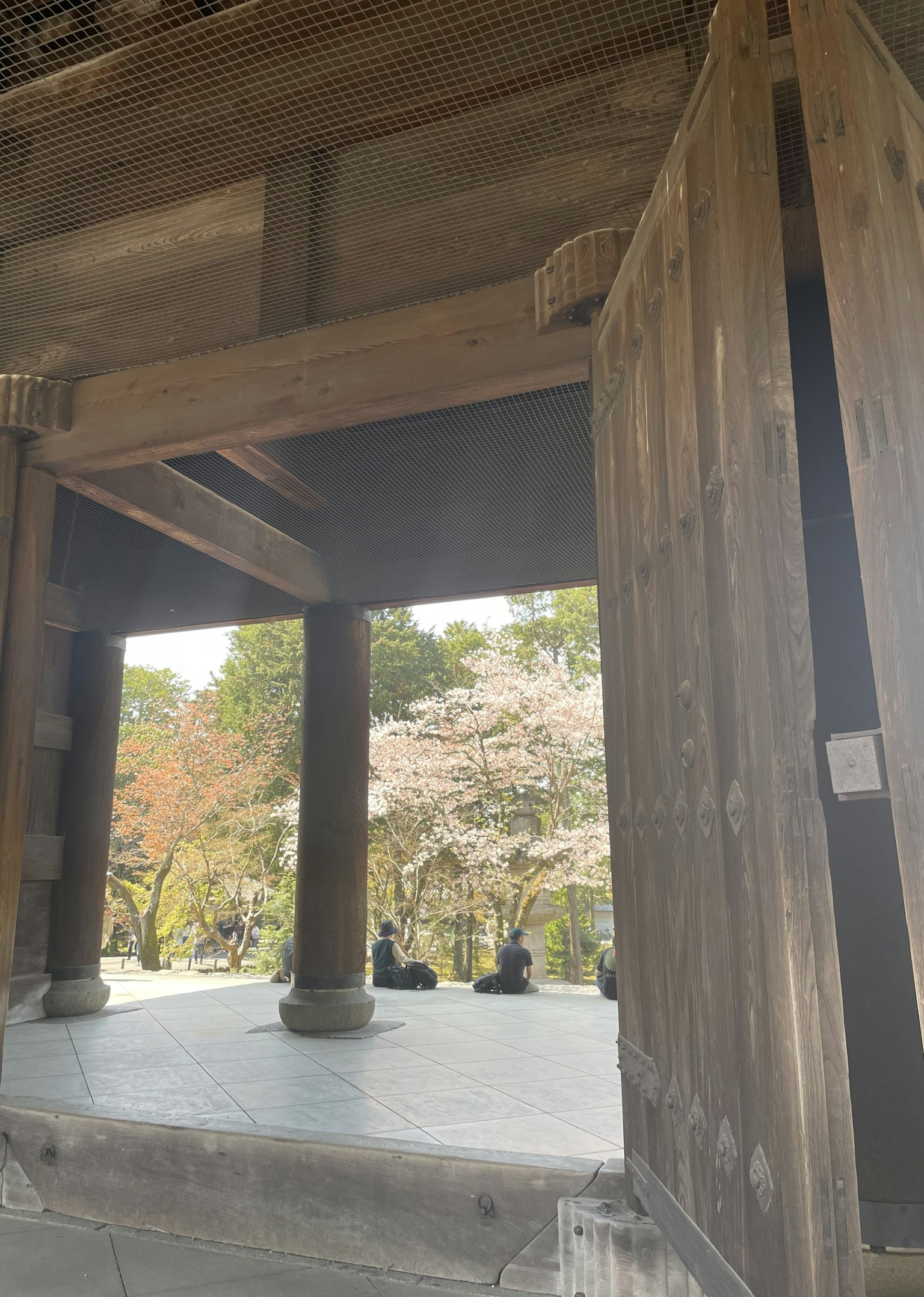 透過木門看到的櫻花樹和公園景觀