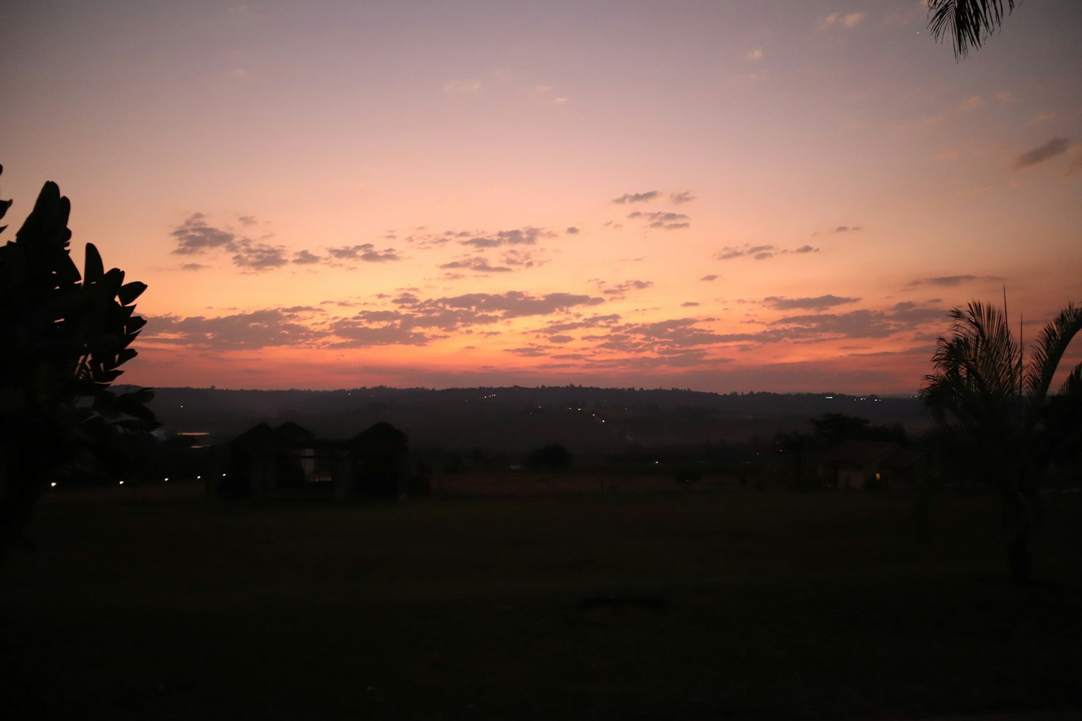 Vista panoramica di un tramonto con alberi in silhouette