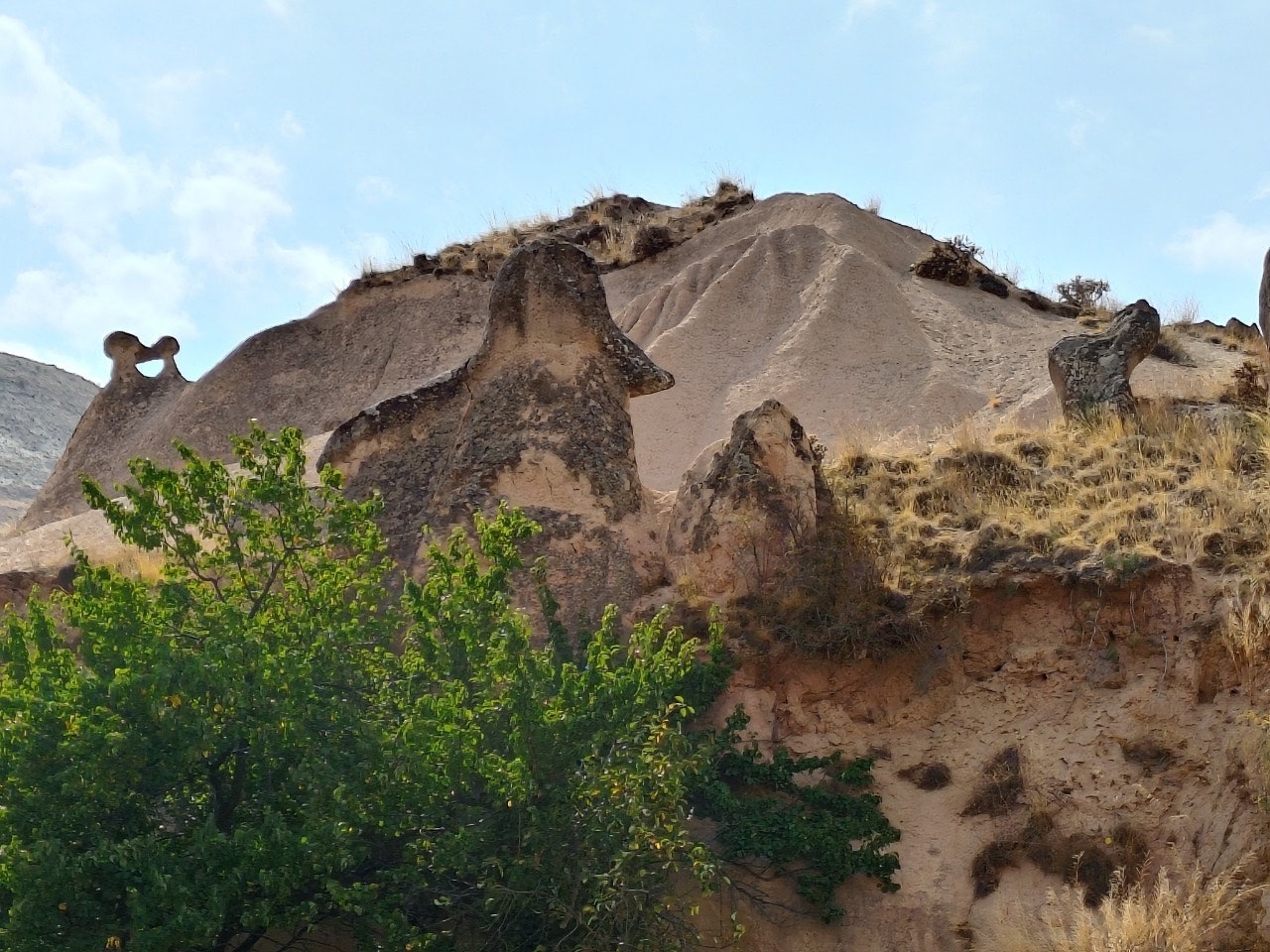 colline rocheuse avec végétation clairsemée et terre apparente