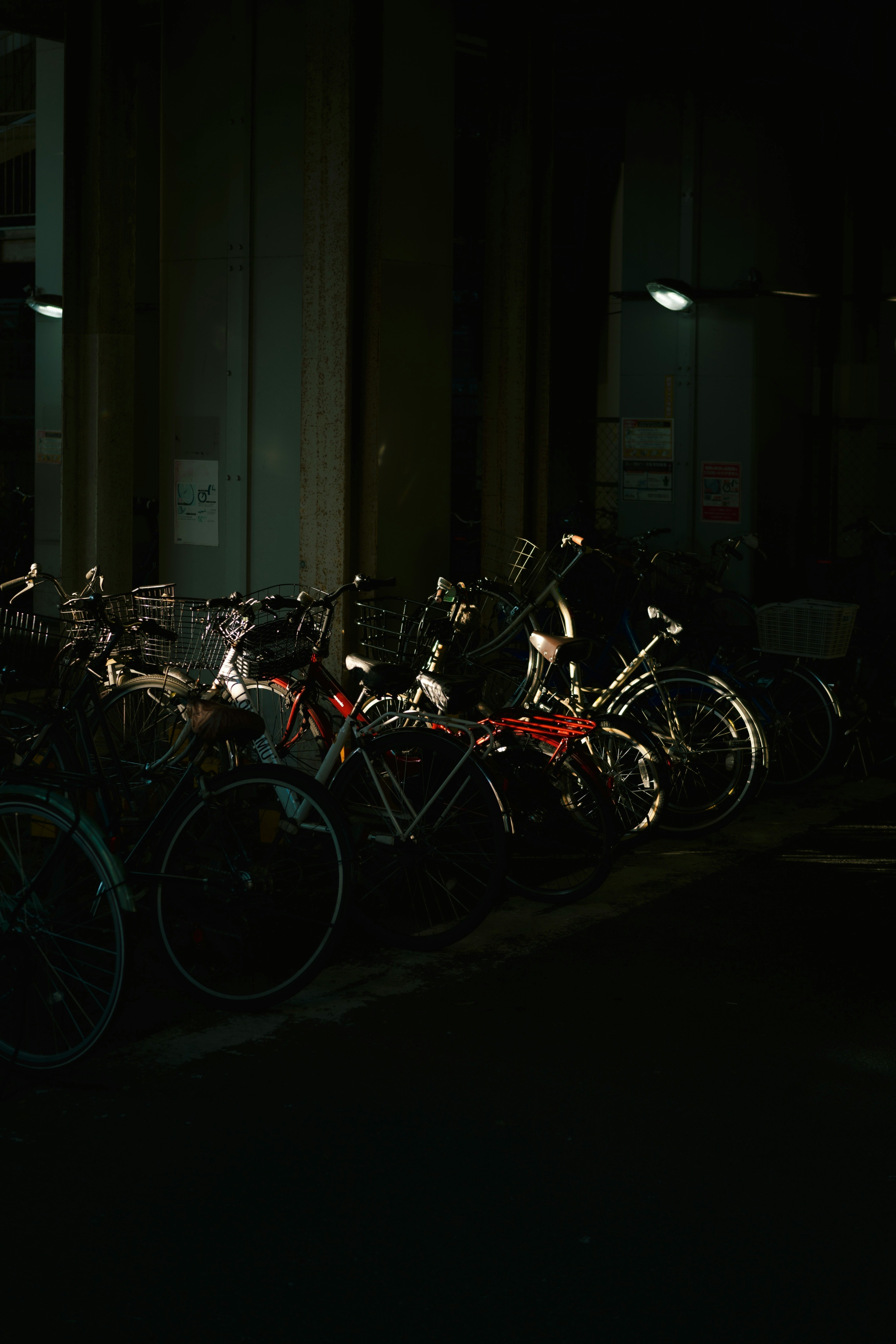 夕陽照亮的停車場裡一排自行車