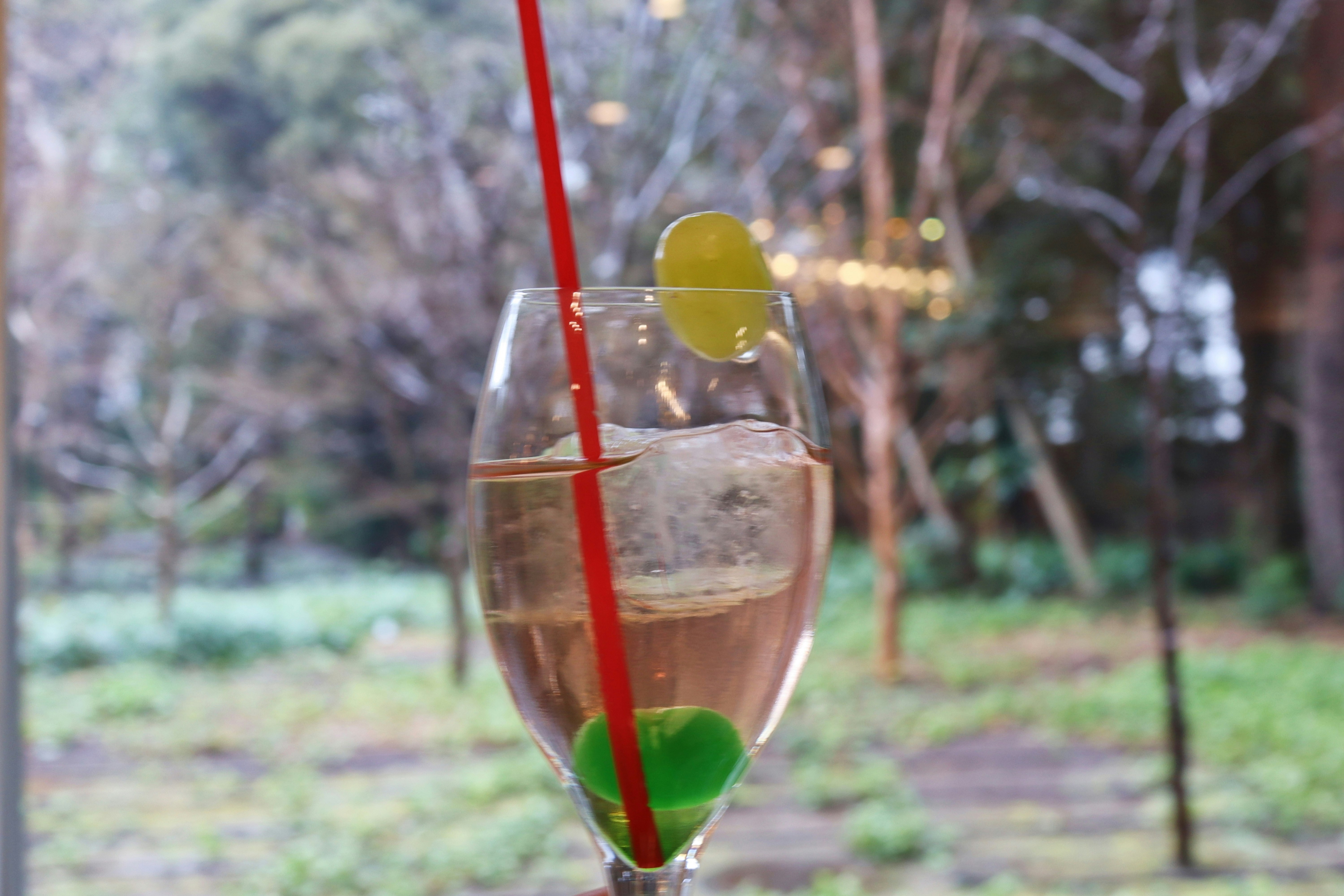 sparkling cocktail in a glass with a red straw in a garden image