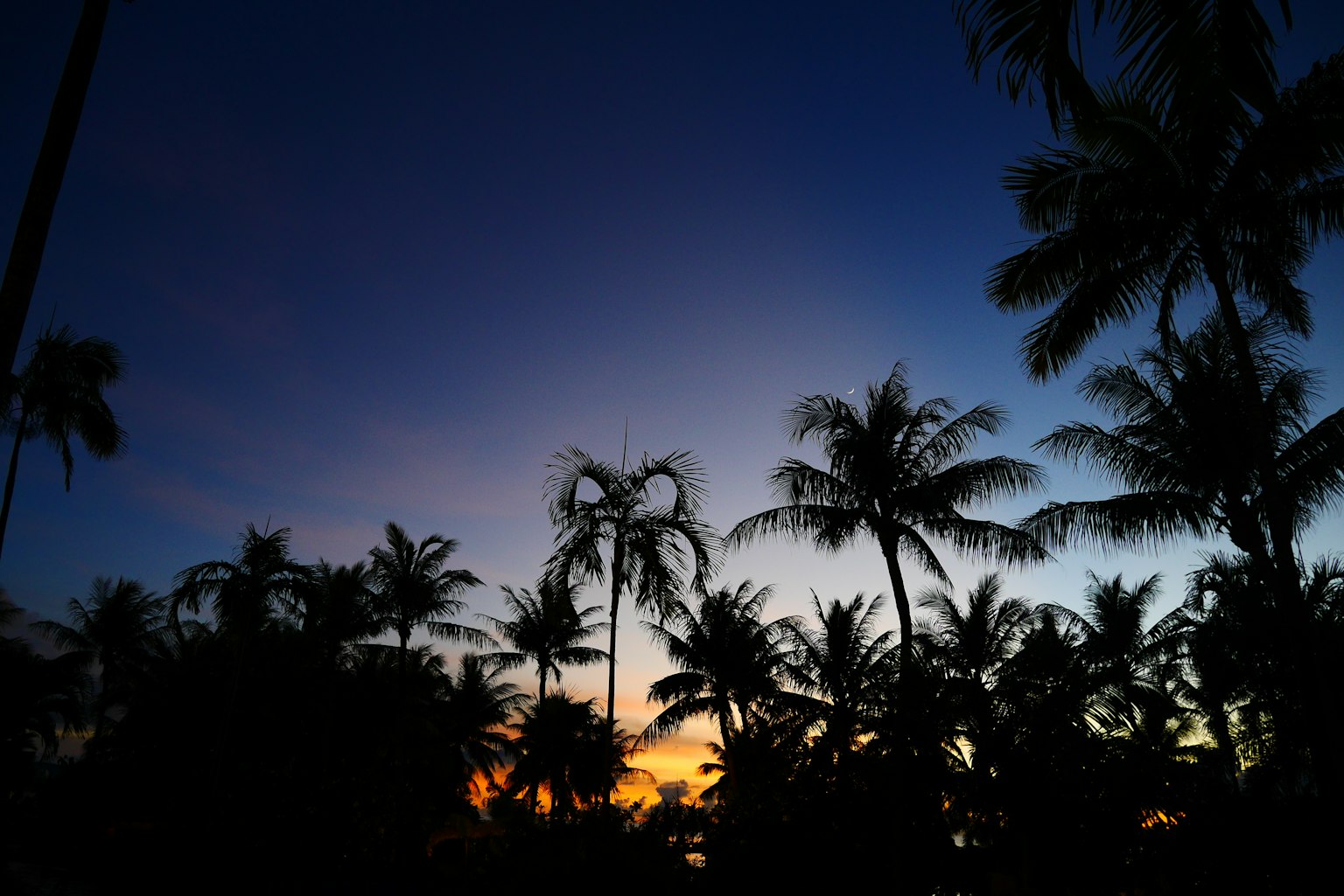 Silueta de palmeras contra un cielo de atardecer colorido