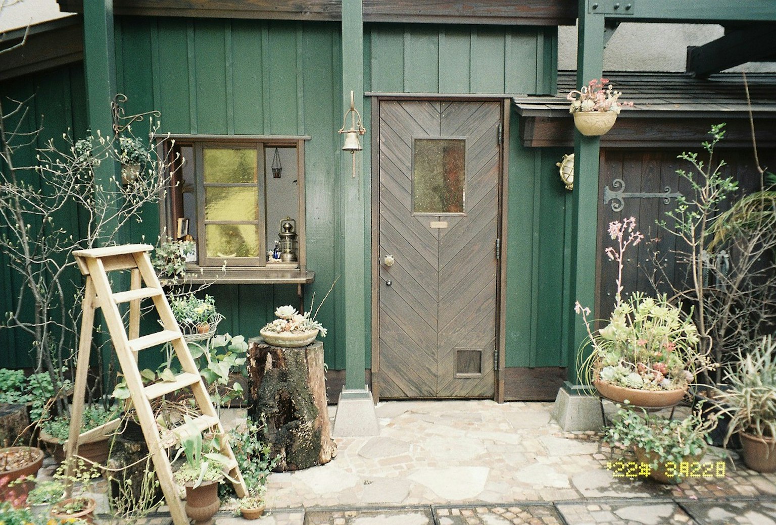 Entrada de una casa con paredes verdes adornadas con plantas