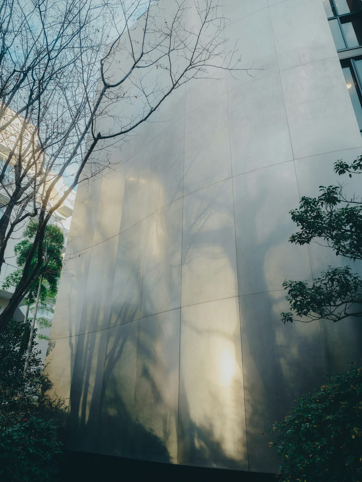 Mur métallique réfléchissant la lumière avec des ombres d'arbres et des plantes vertes