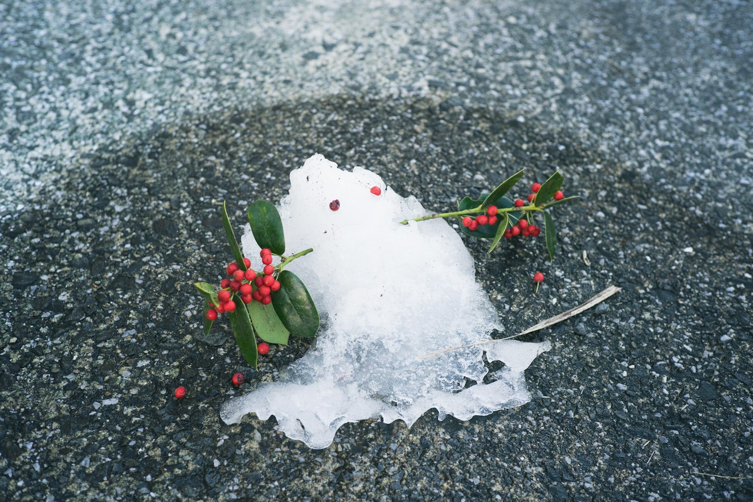 Ein kleiner Schneehaufen mit roten Beeren und grünen Blättern auf einer grauen Oberfläche