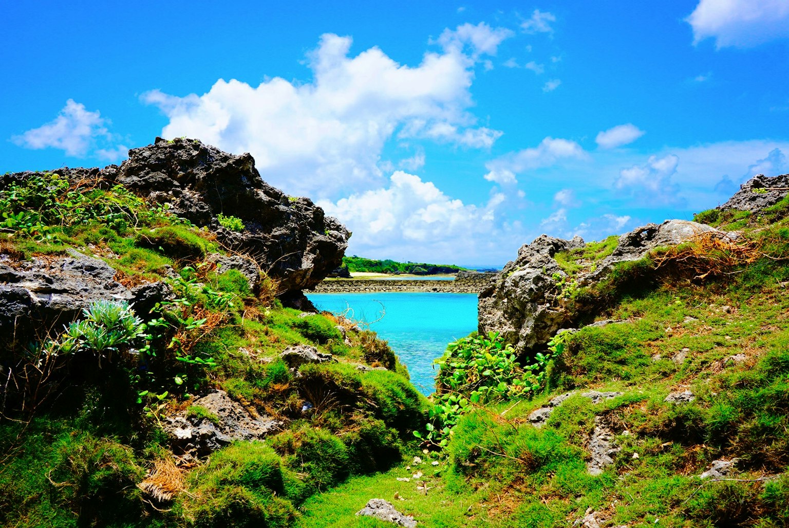 Vue pittoresque de l'océan bleu et des nuages blancs avec un paysage rocheux et une végétation luxuriante