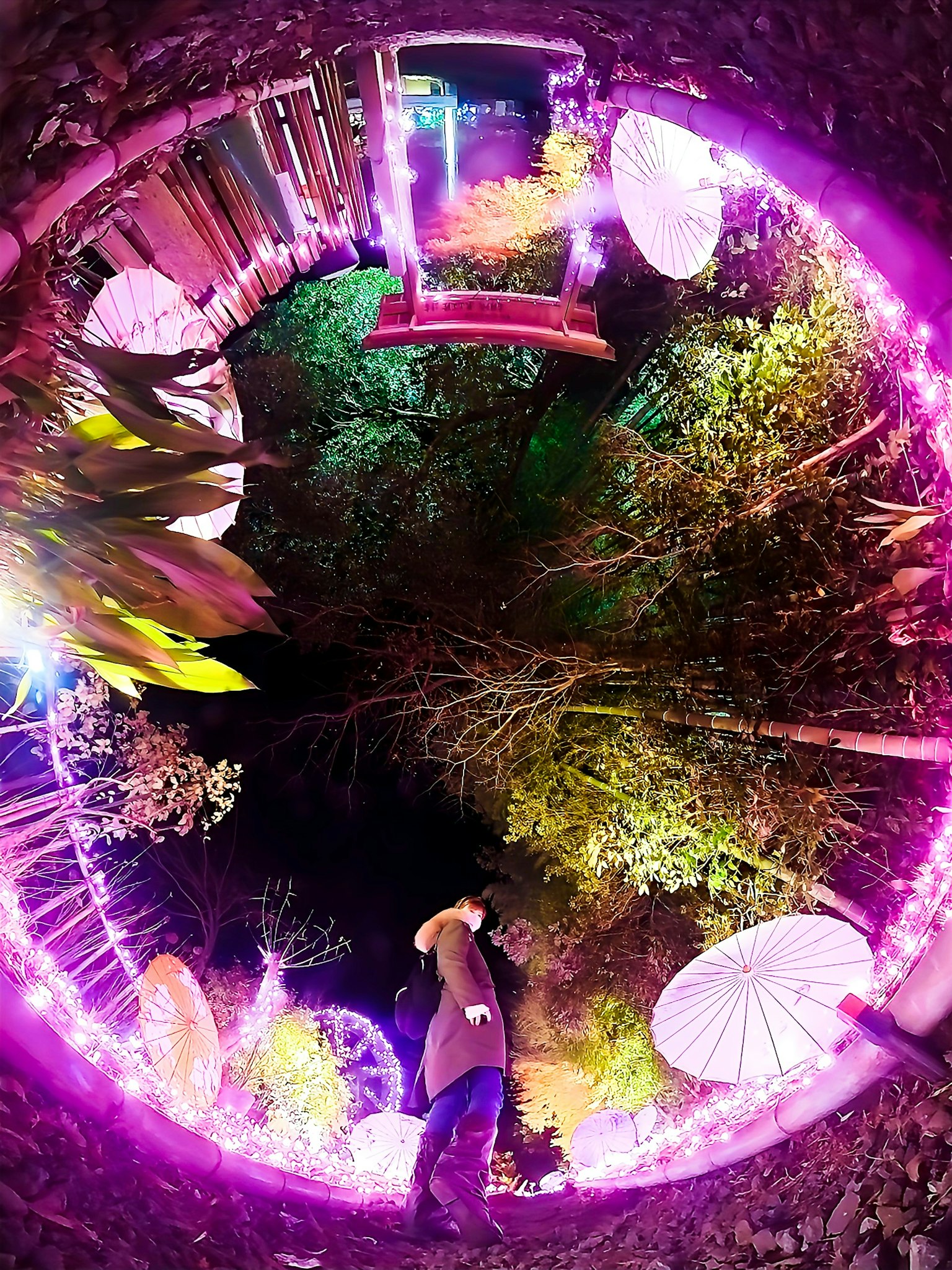 Pemandangan hutan fantastis yang diterangi oleh cahaya warna-warni dengan seseorang di tengah dikelilingi oleh pencahayaan cerah dan elemen alami