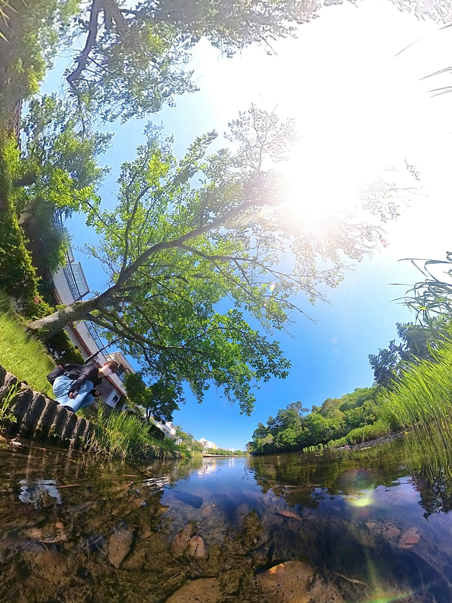 Khung cảnh của một cái ao dưới bầu trời xanh với ánh nắng phản chiếu trên mặt nước và những cây xanh tươi tốt