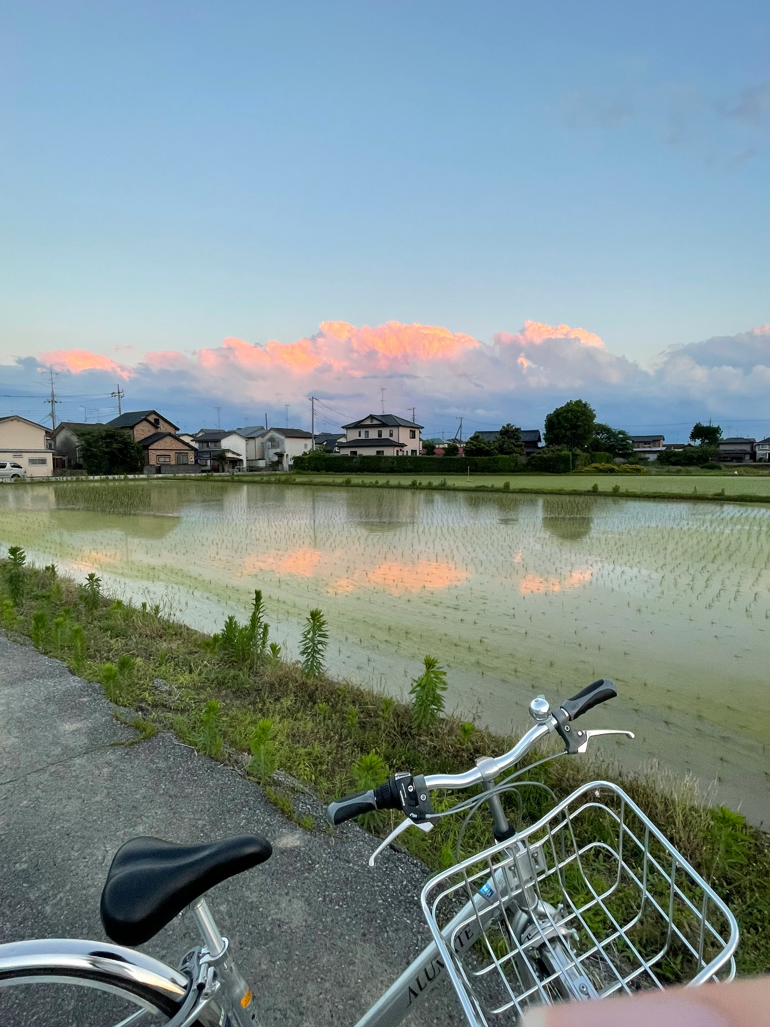 川沿いの道を走る自転車と田園風景の夕焼け