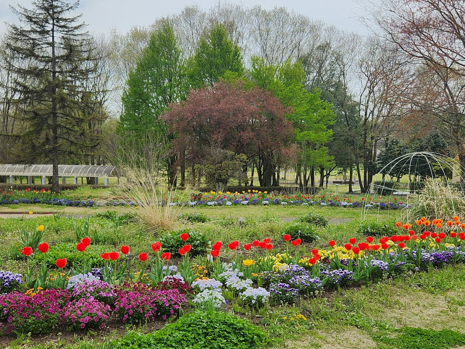 Una vista panoramica del parco con fiori colorati alberi verdi e vivaci tulipani rossi