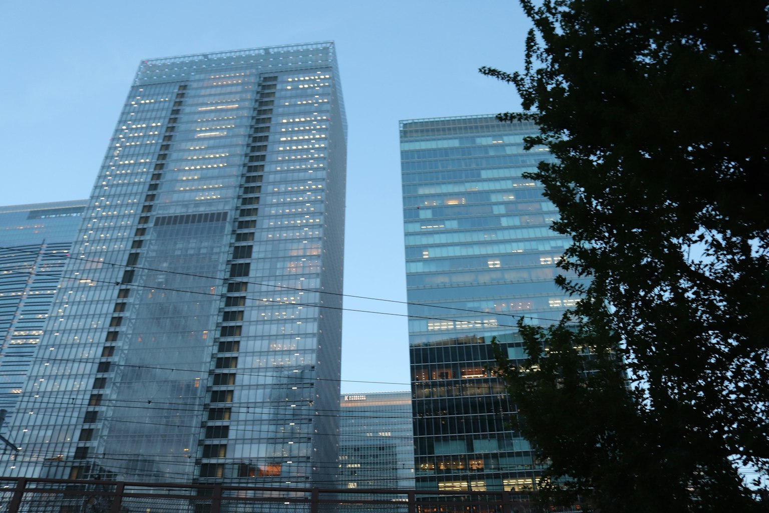 高楼大厦与蓝天的城市景观，绿树相伴