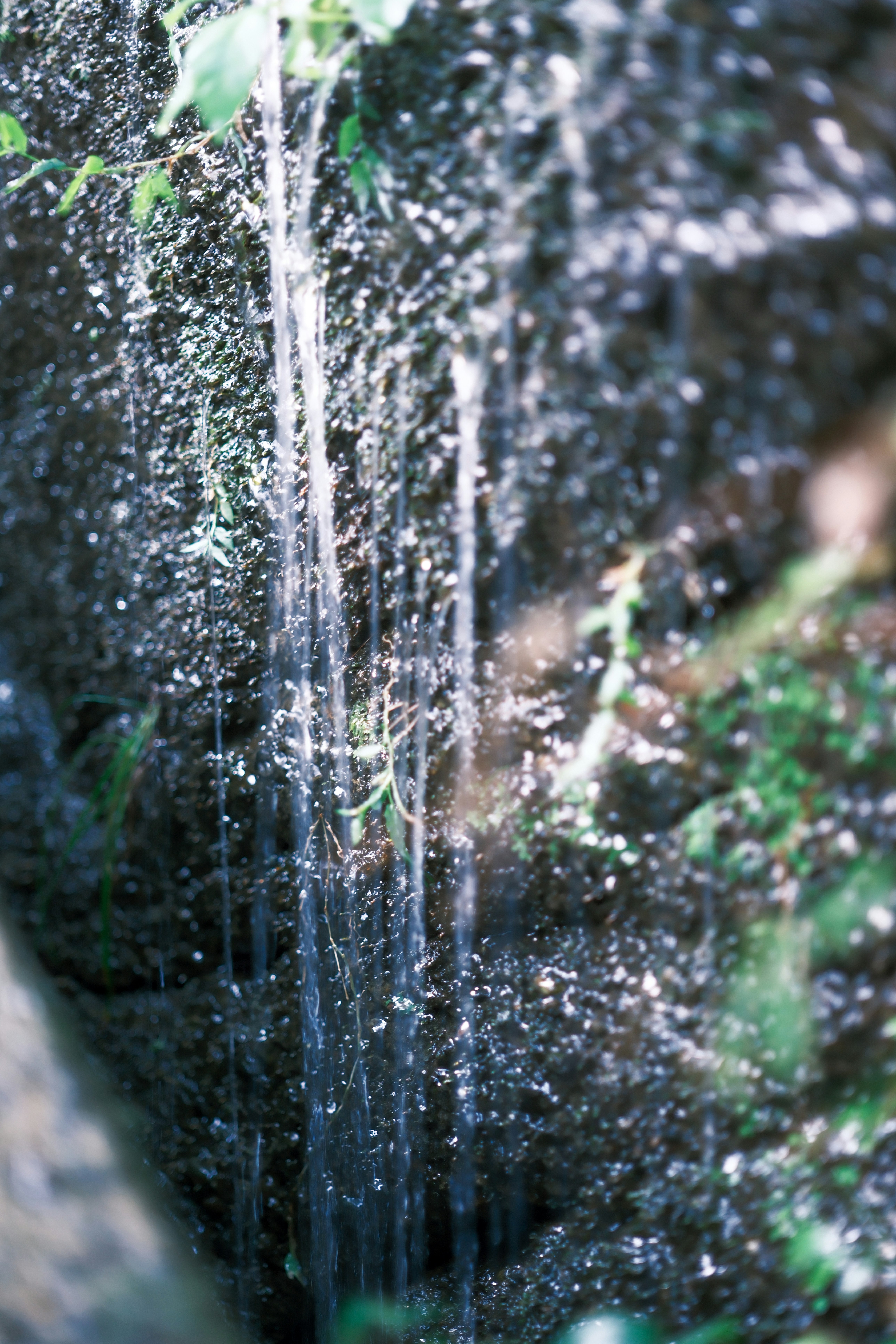 滝のように降り注ぐ水しぶきのある緑の森の小川