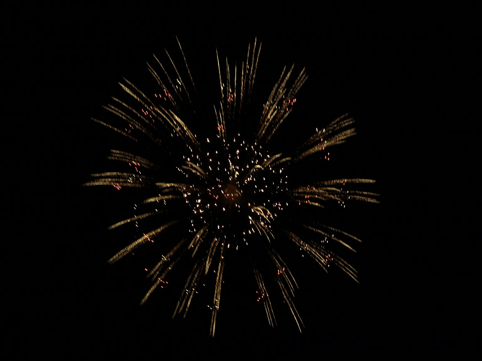 Eine schöne Explosion von Feuerwerken vor einem schwarzen Hintergrund