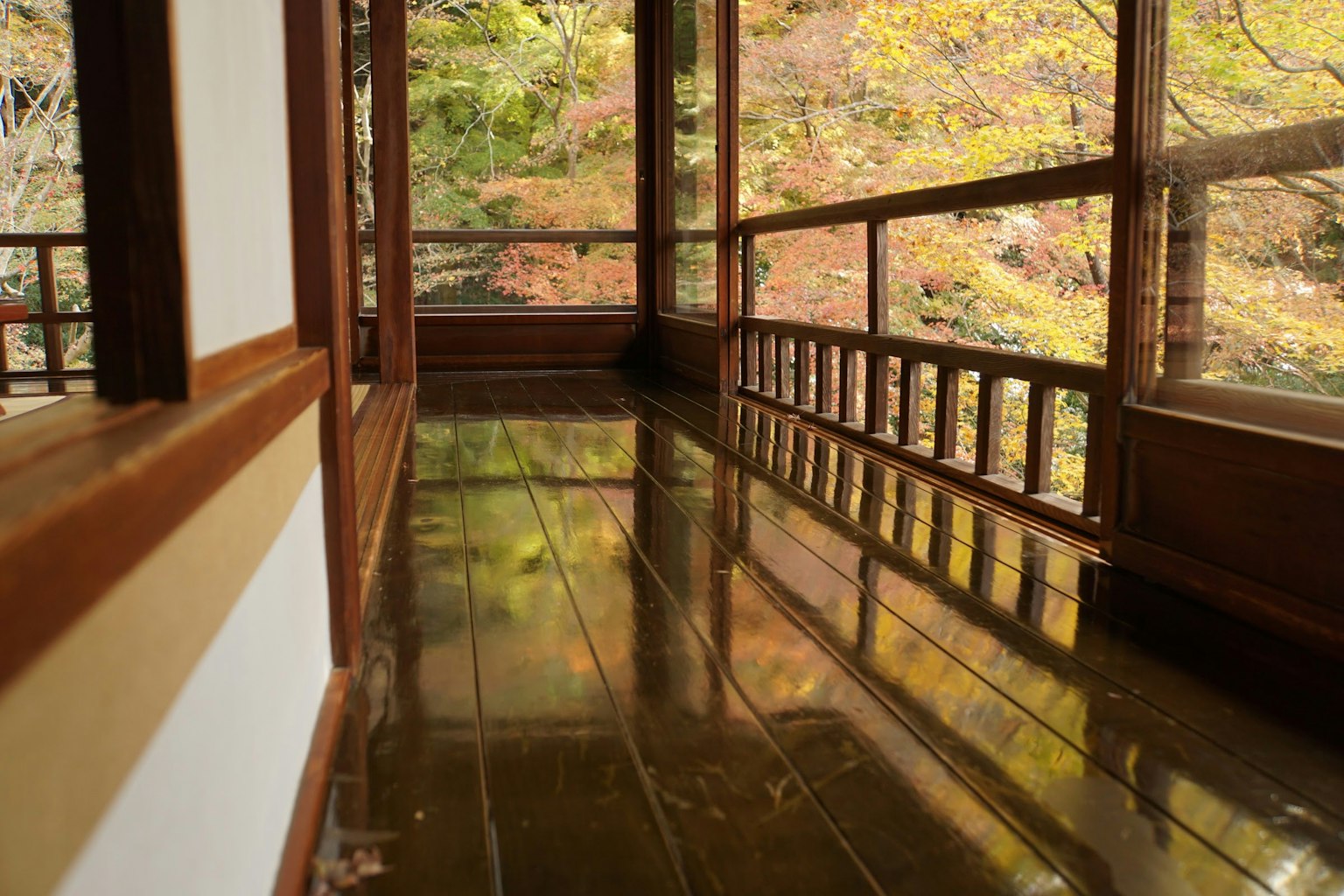 Wooden corridor with beautiful autumn scenery in the background