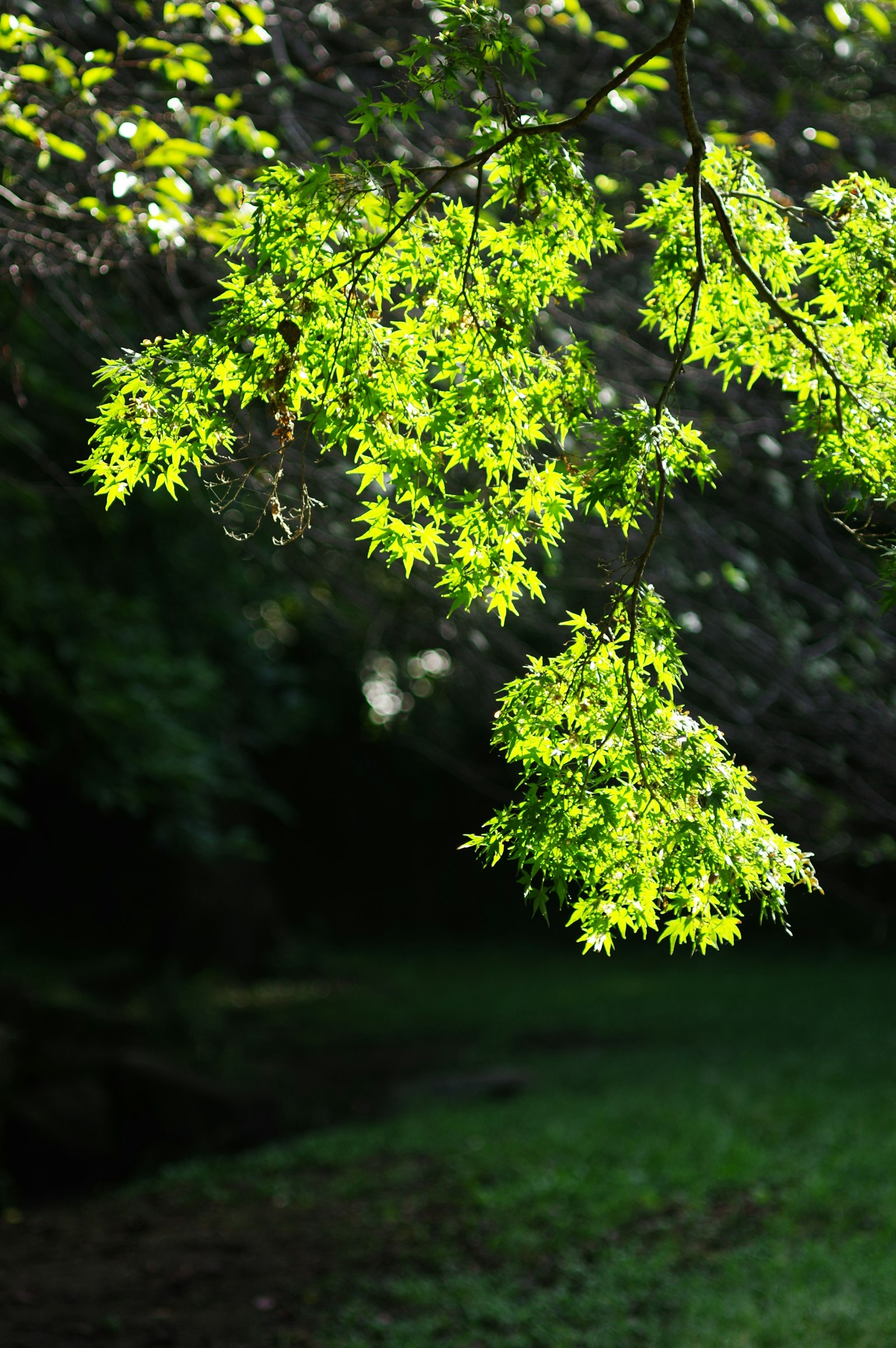 Simple graphic design on a dark background