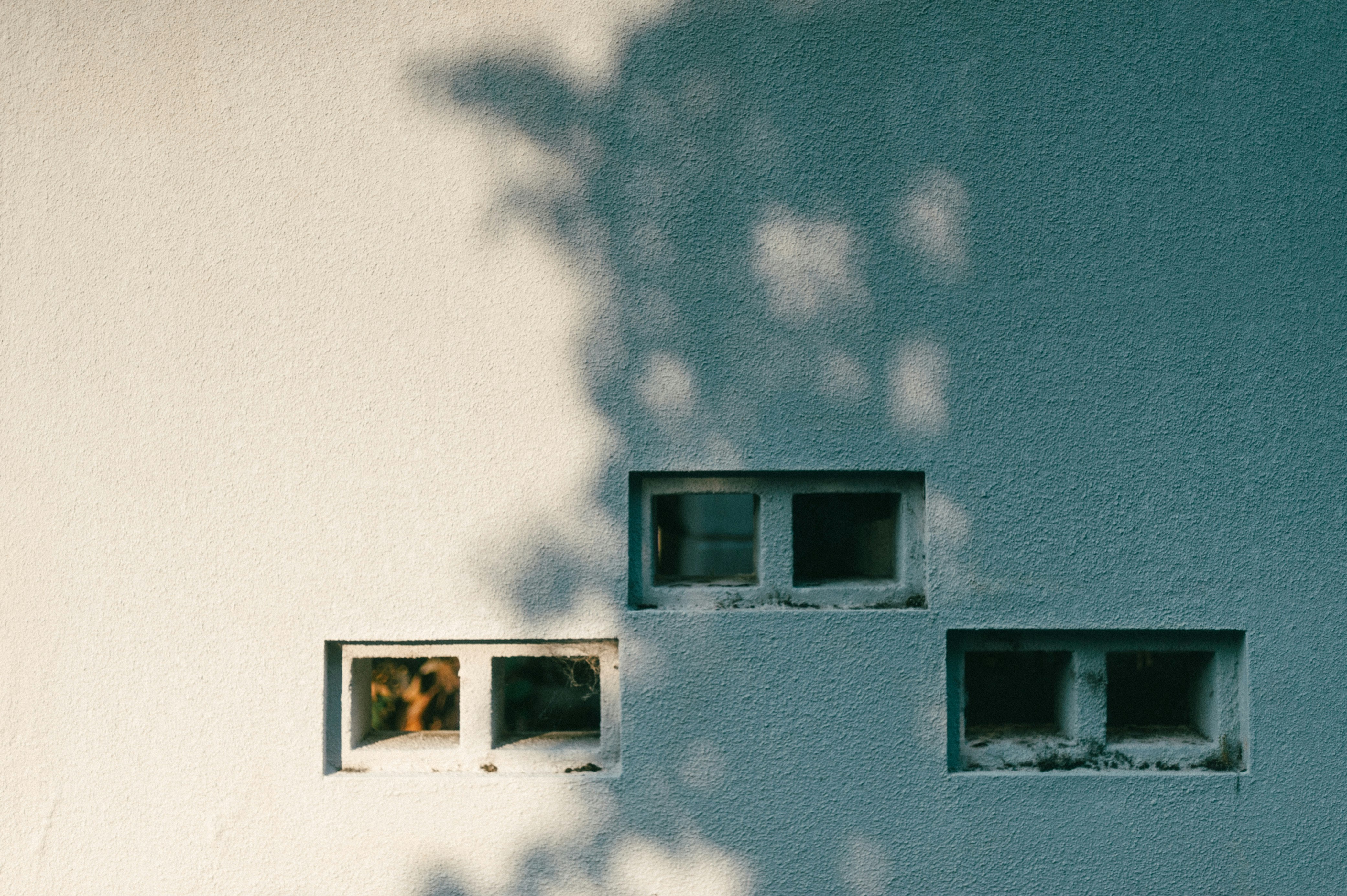 青い壁に並ぶ窓のある建物の外観