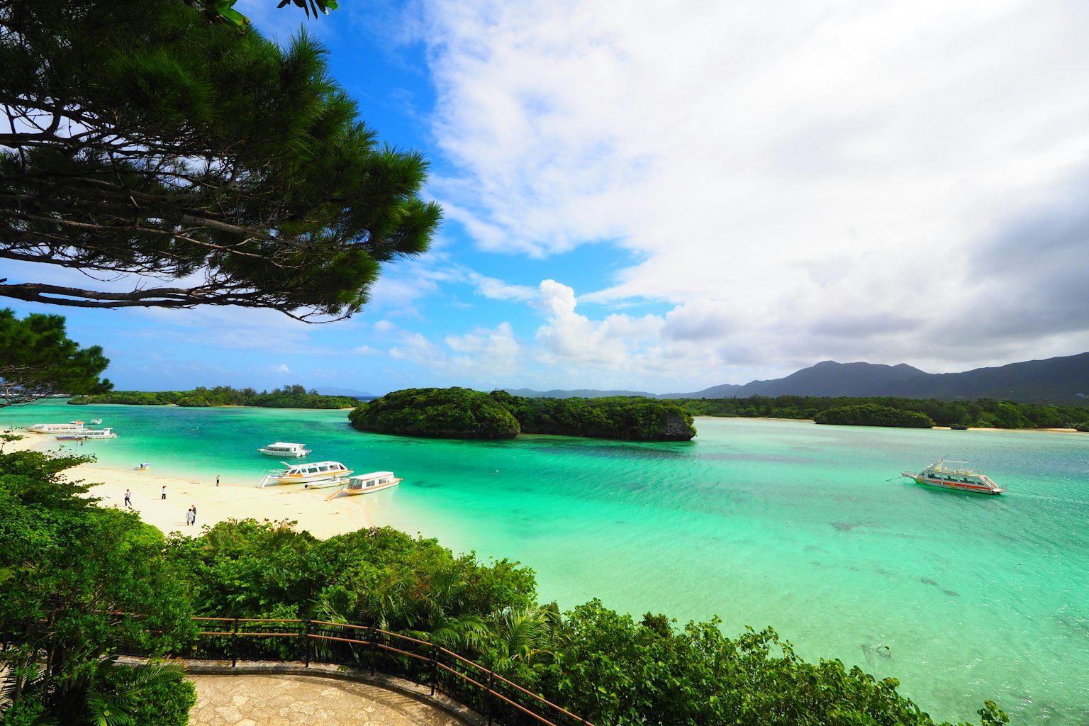 Paesaggio bellissimo con acque turchesi e spiaggia di sabbia bianca Vegetazione lussureggiante e cielo blu
