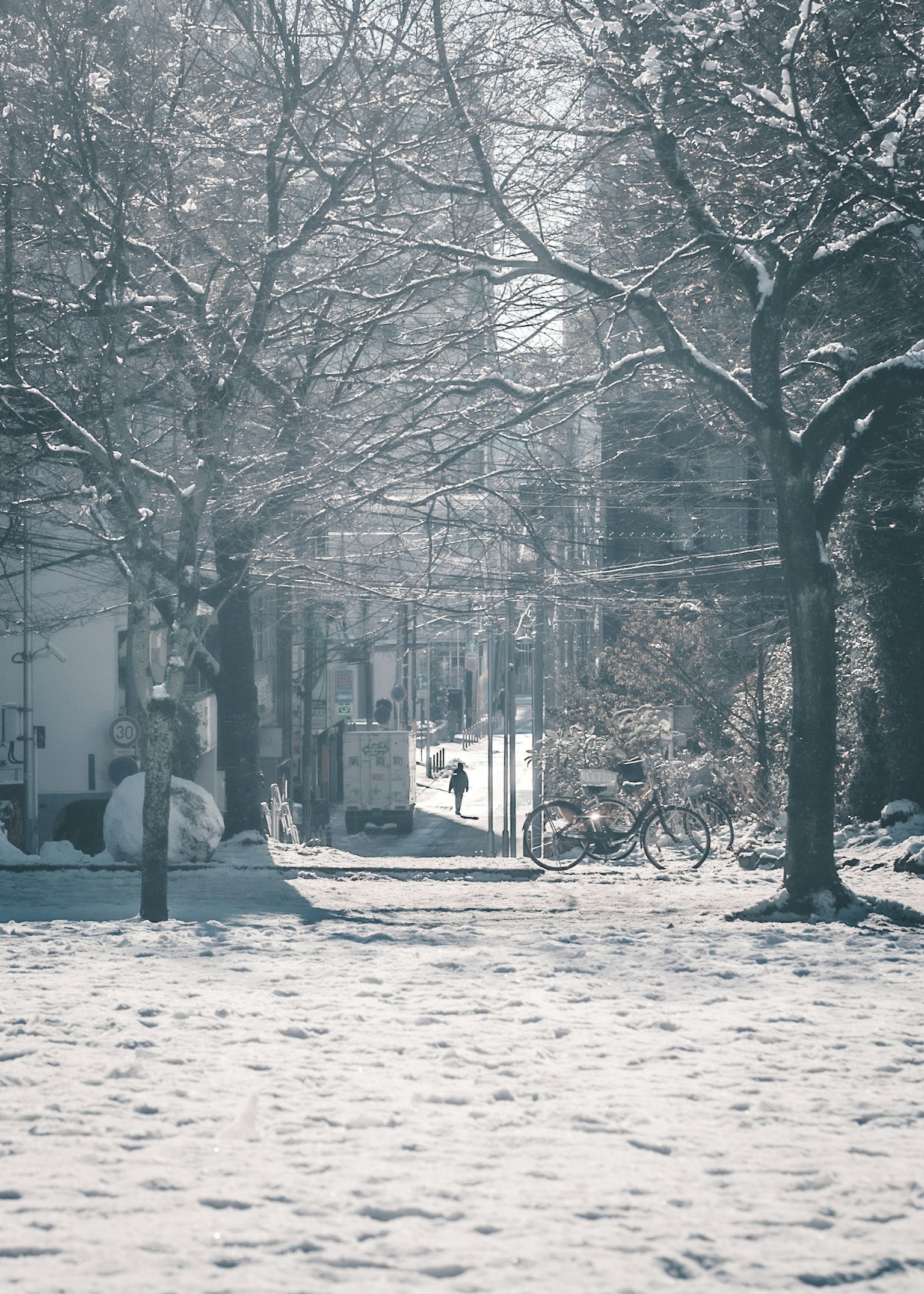 Sentiero coperto di neve con alberi e una persona che cammina
