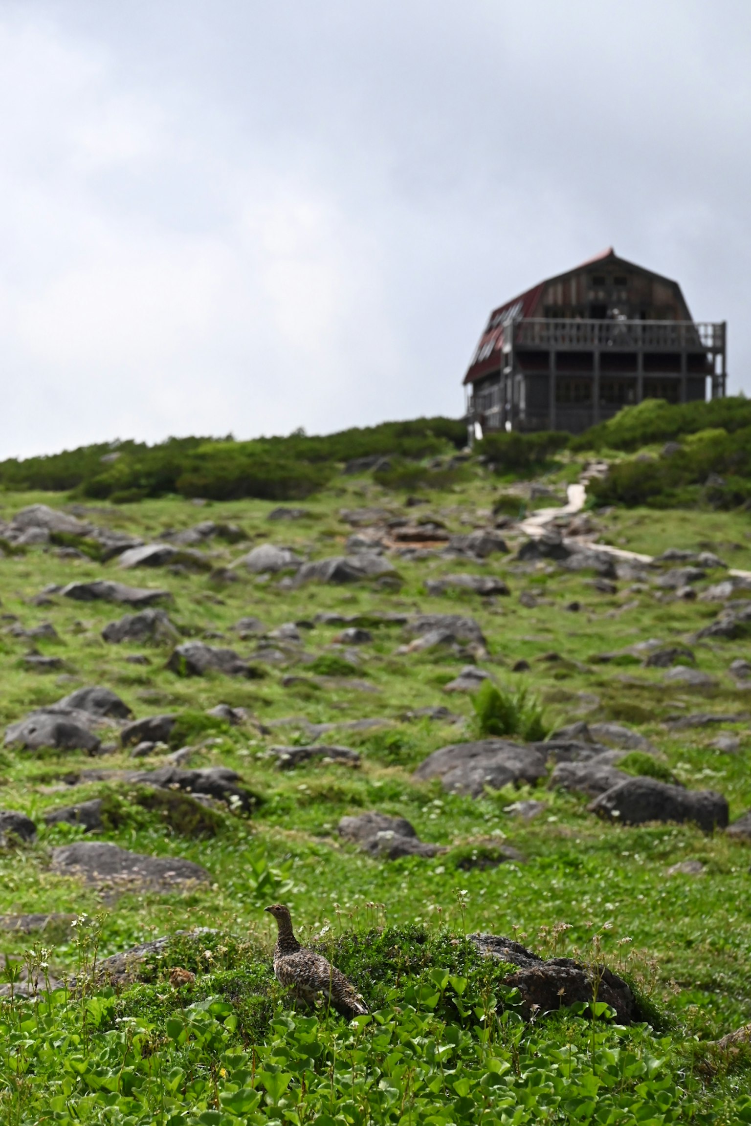 Ancienne cabane sur une colline couverte d'herbe et de rochers