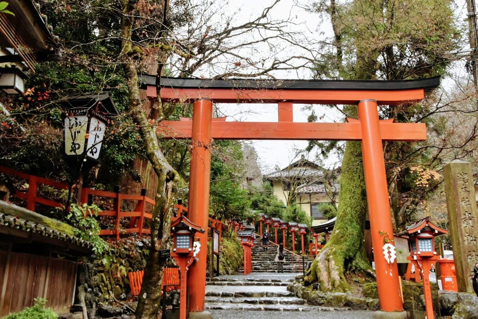Sendero que conduce a un santuario japonés con puertas torii rojas