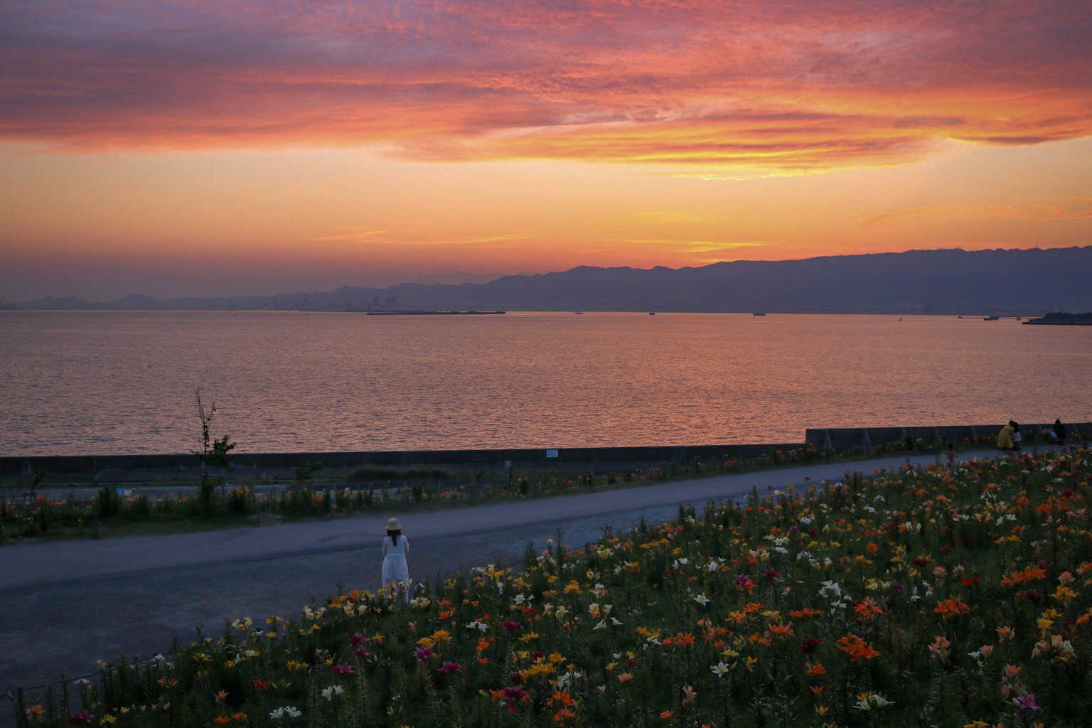 Beautiful sunset over the sea with a flower field