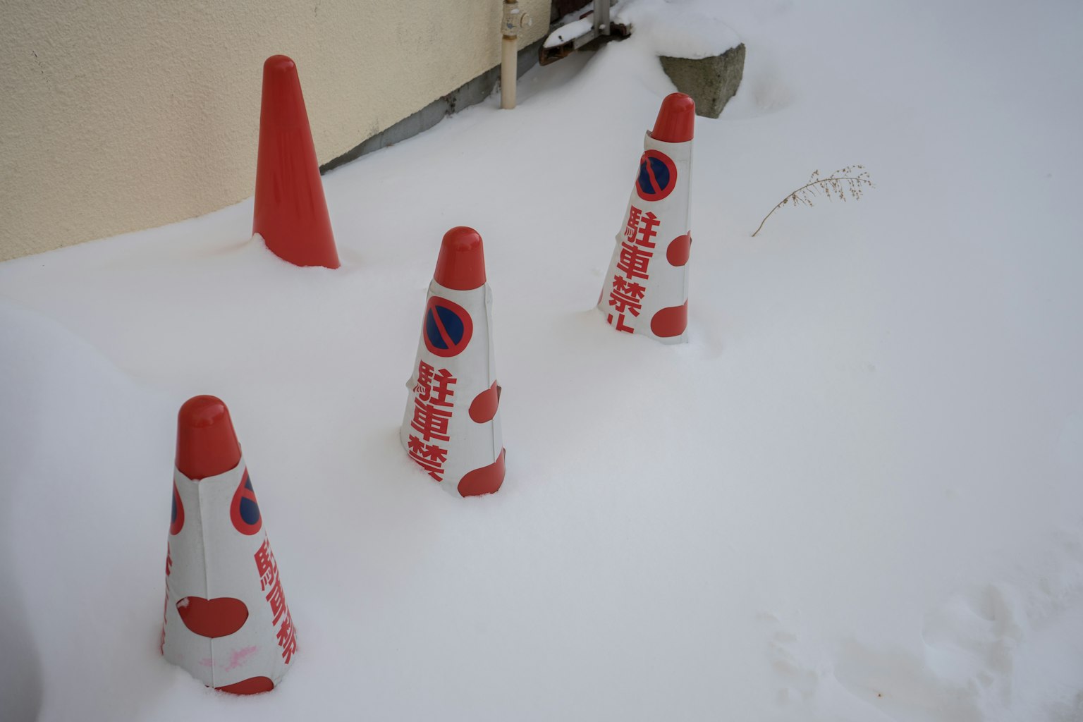 被雪覆盖的交通锥 红白设计并带有禁止停车标志