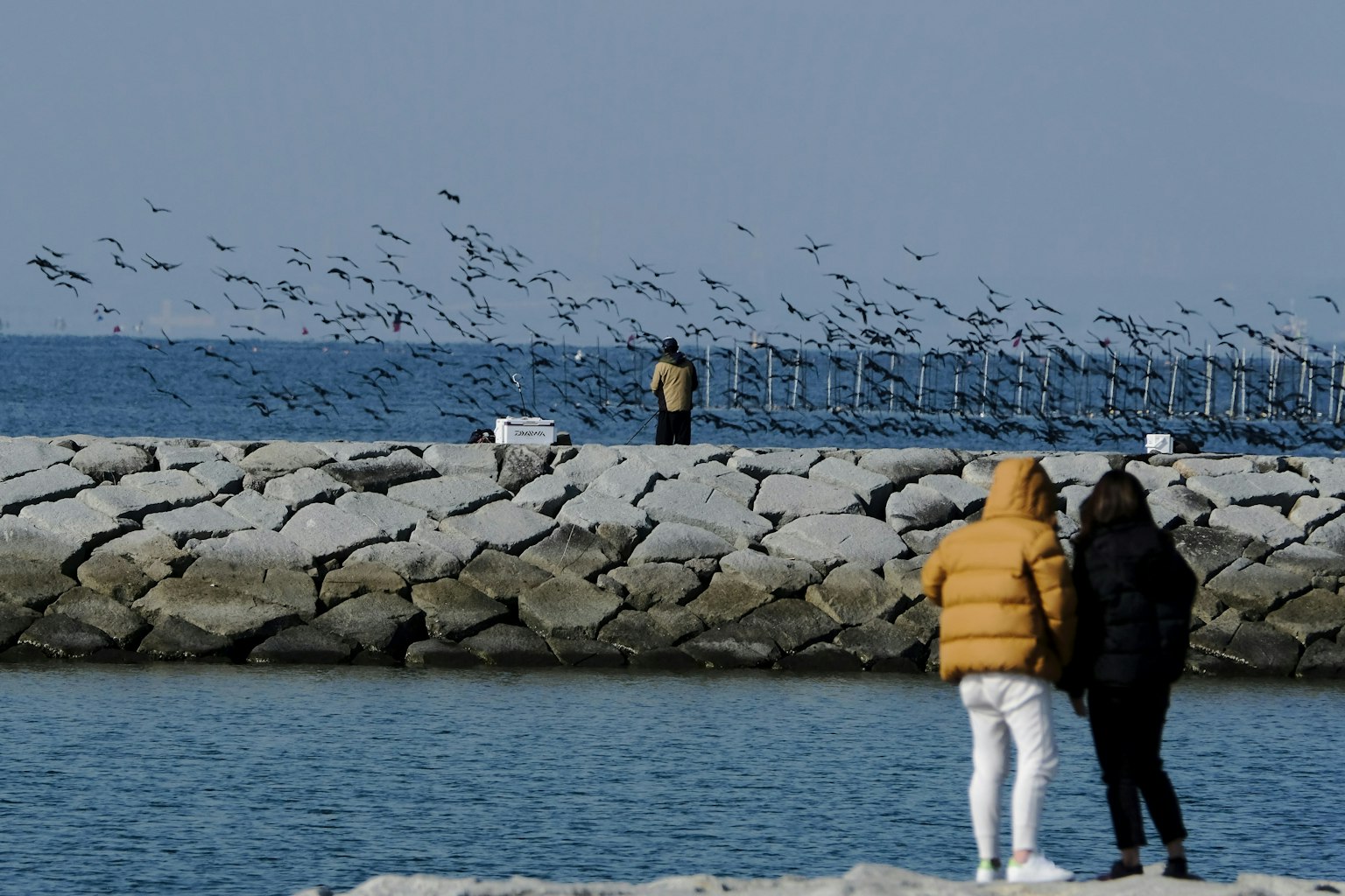 Due persone su un molo con uccelli che volano sullo sfondo