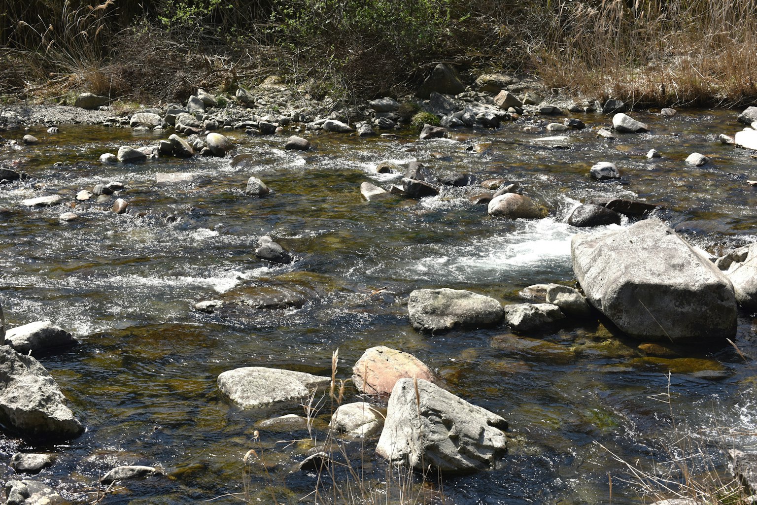 Un cours d'eau serein avec de grandes pierres et des petits rochers éparpillés