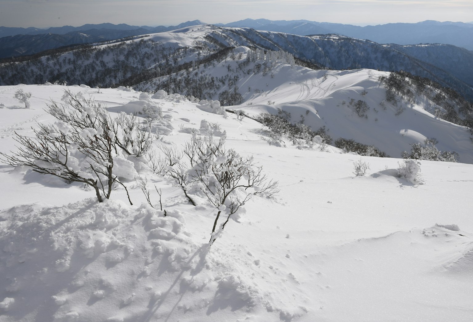 被雪覆蓋的山脈和樹木的風景