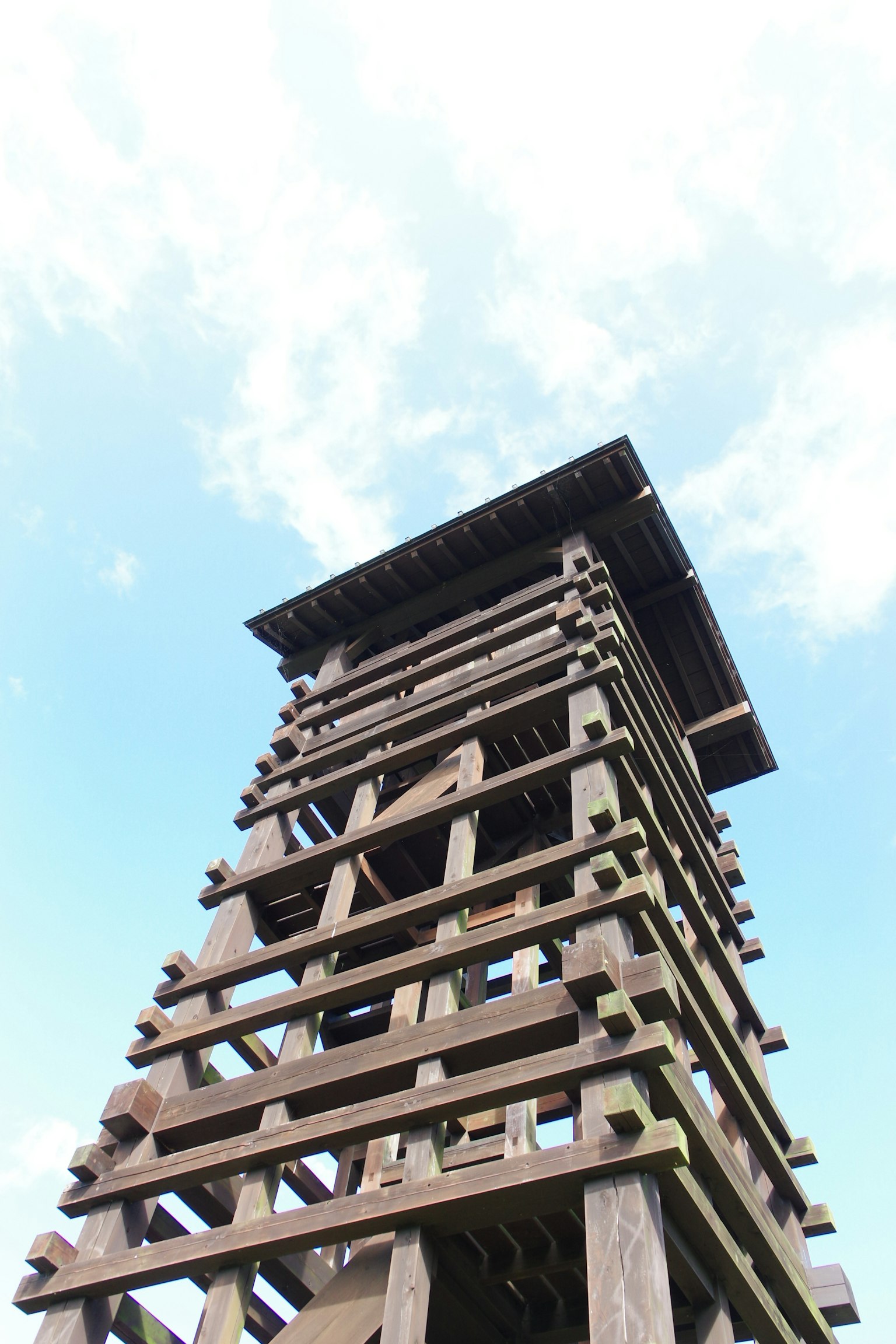 Torre de observación de madera que se eleva hacia el cielo azul
